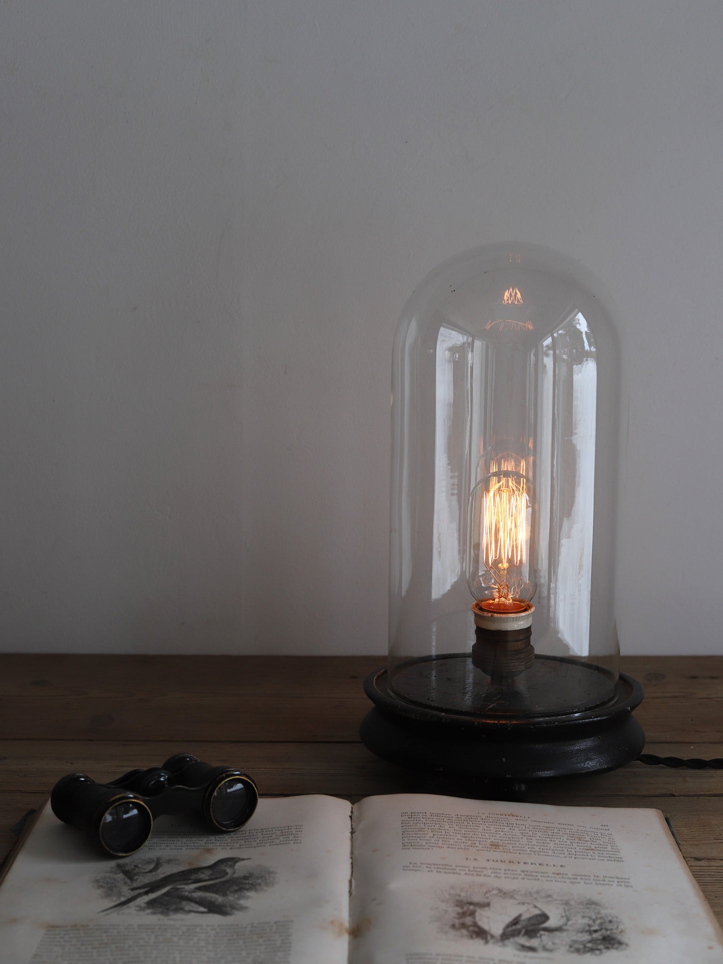 GLASS DOME LAMP