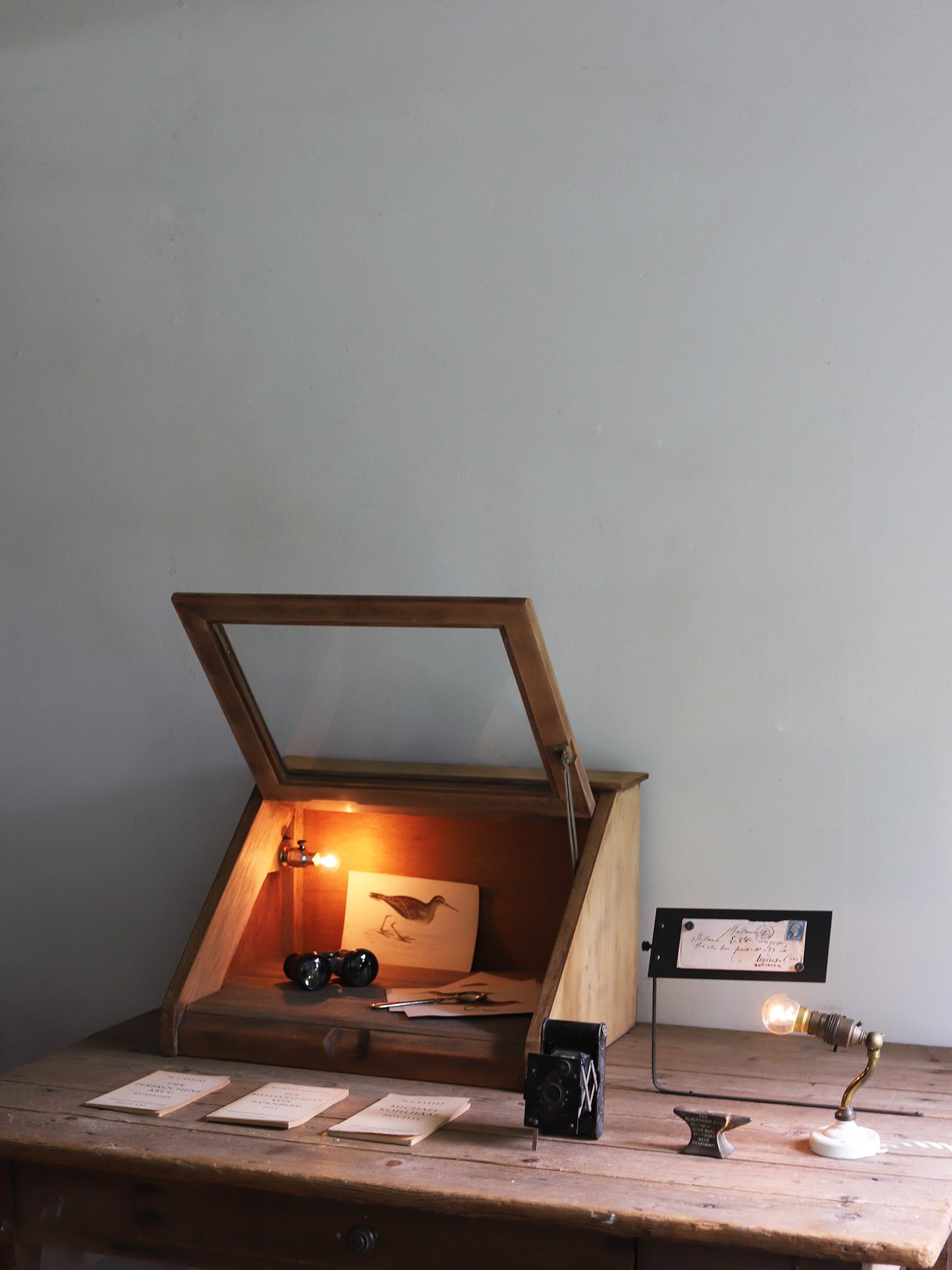 GLASSCASE with LAMP