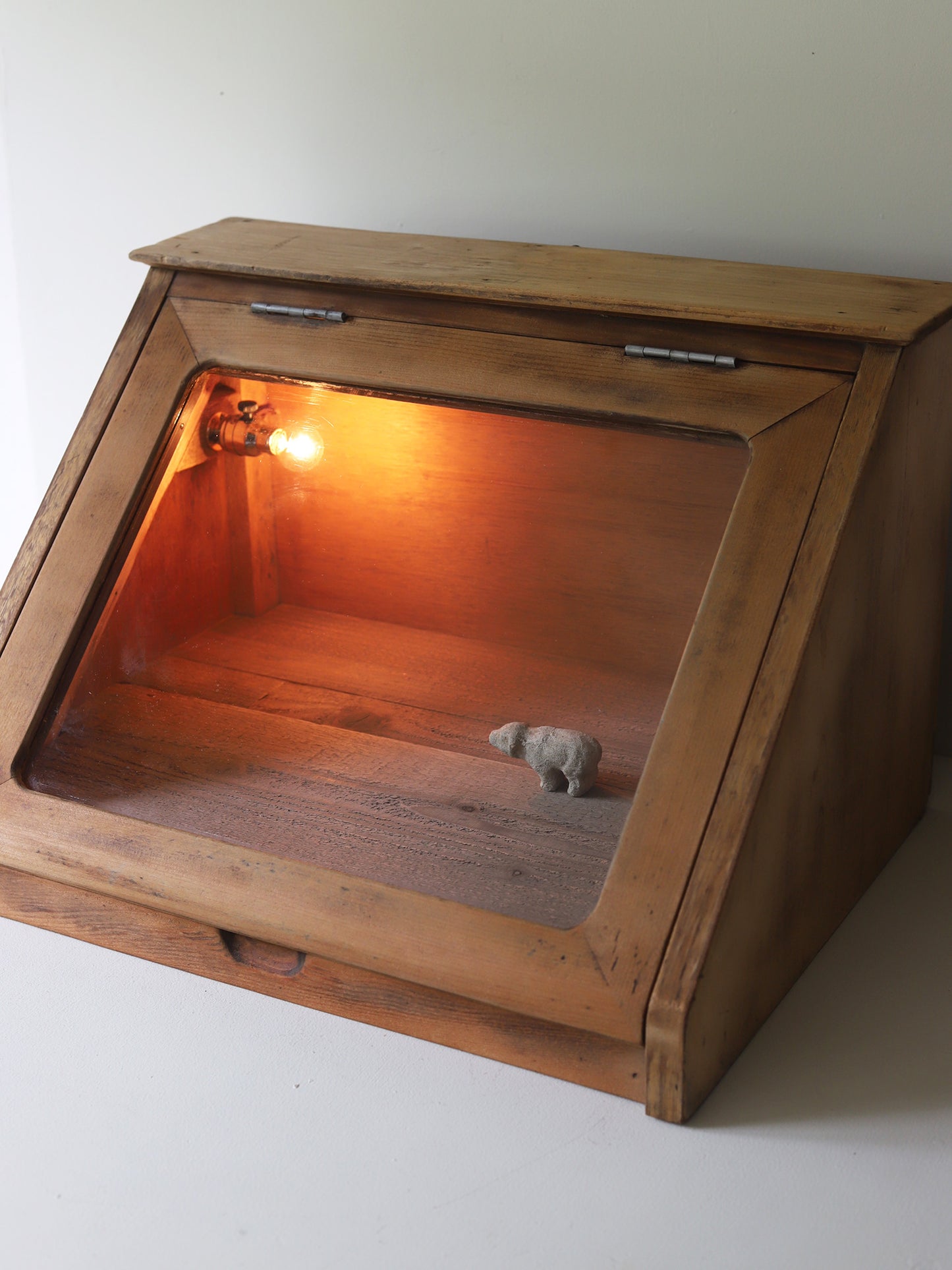 GLASSCASE with LAMP