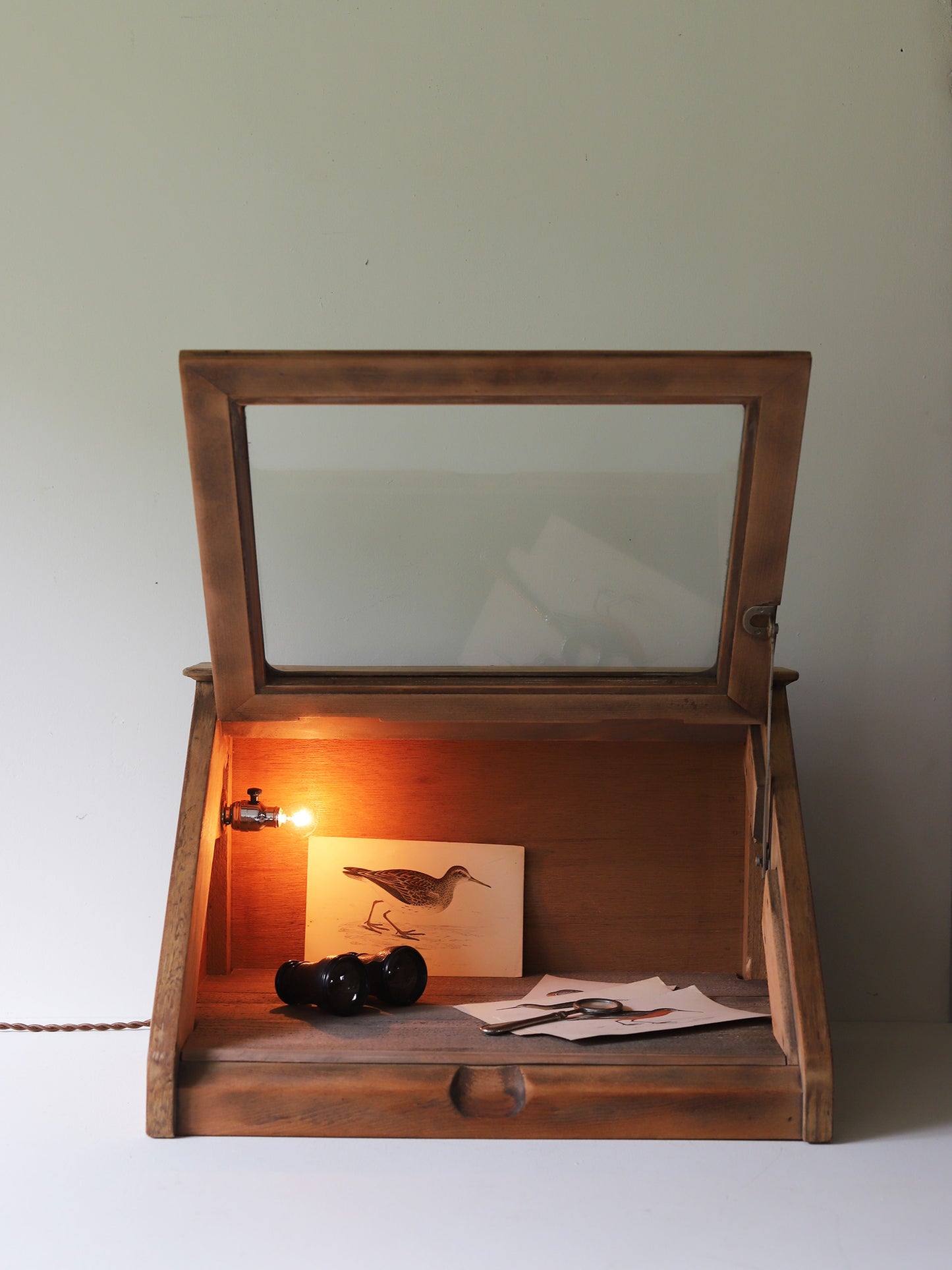 GLASSCASE with LAMP