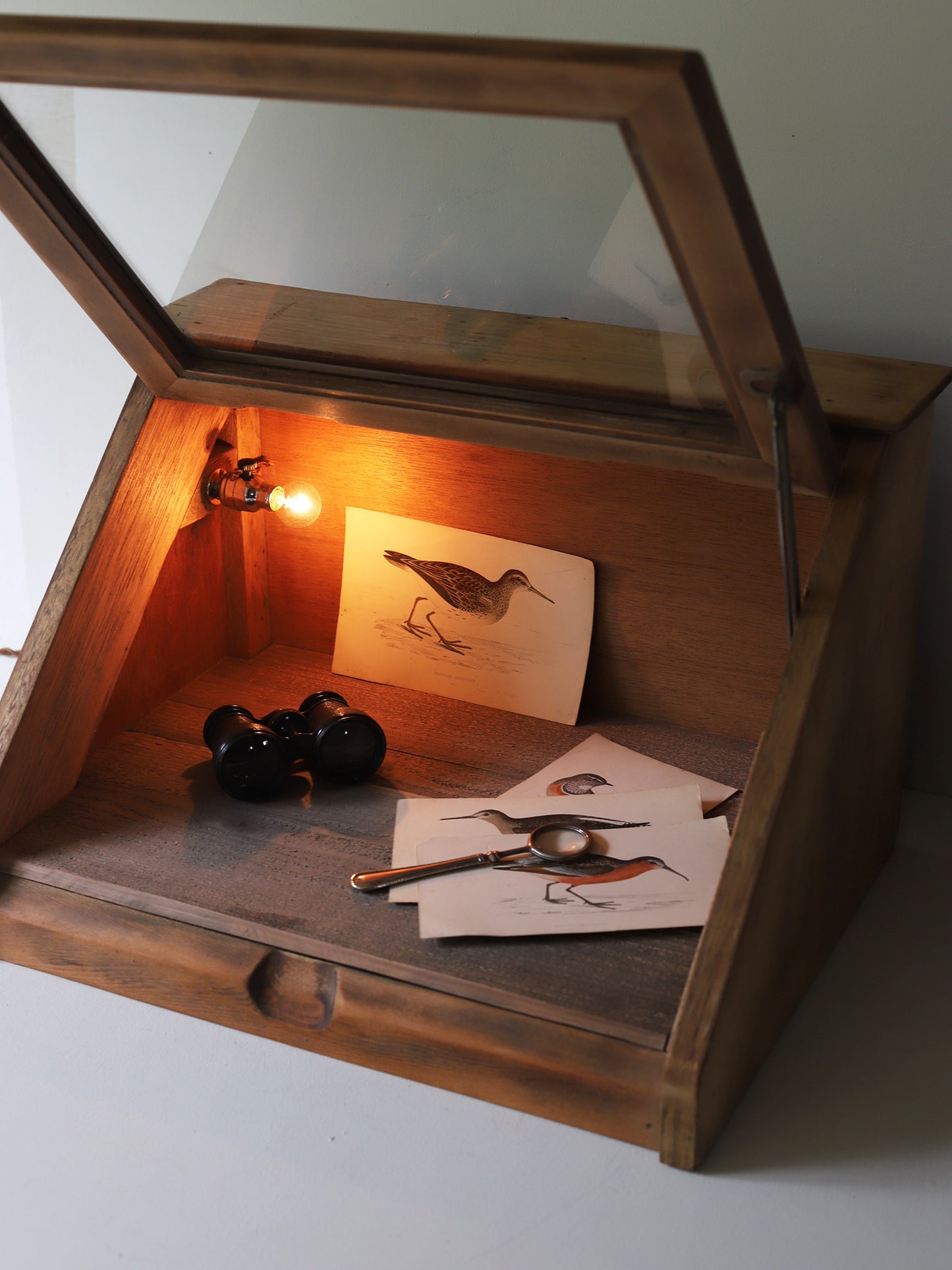 GLASSCASE with LAMP