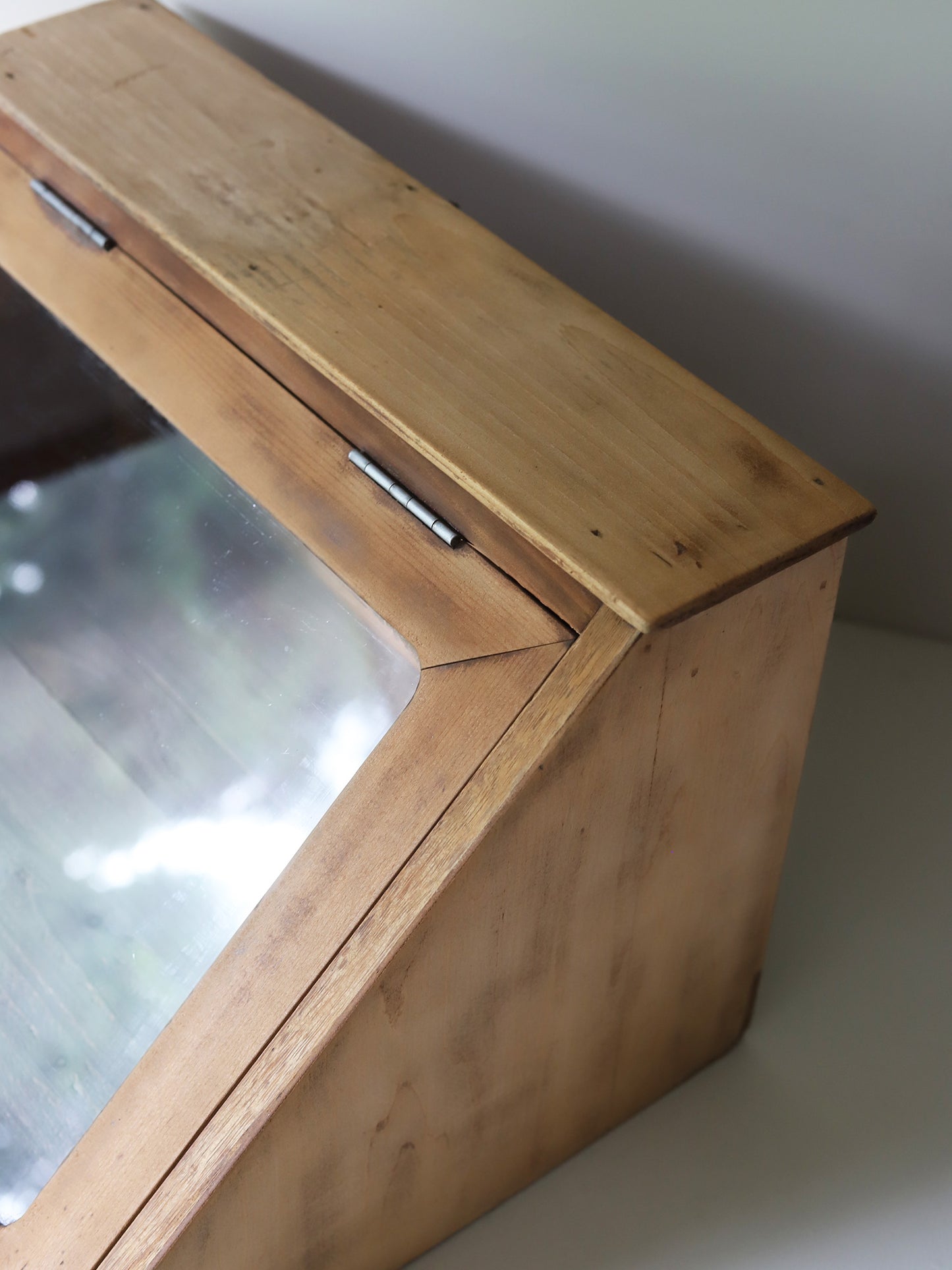 GLASSCASE with LAMP