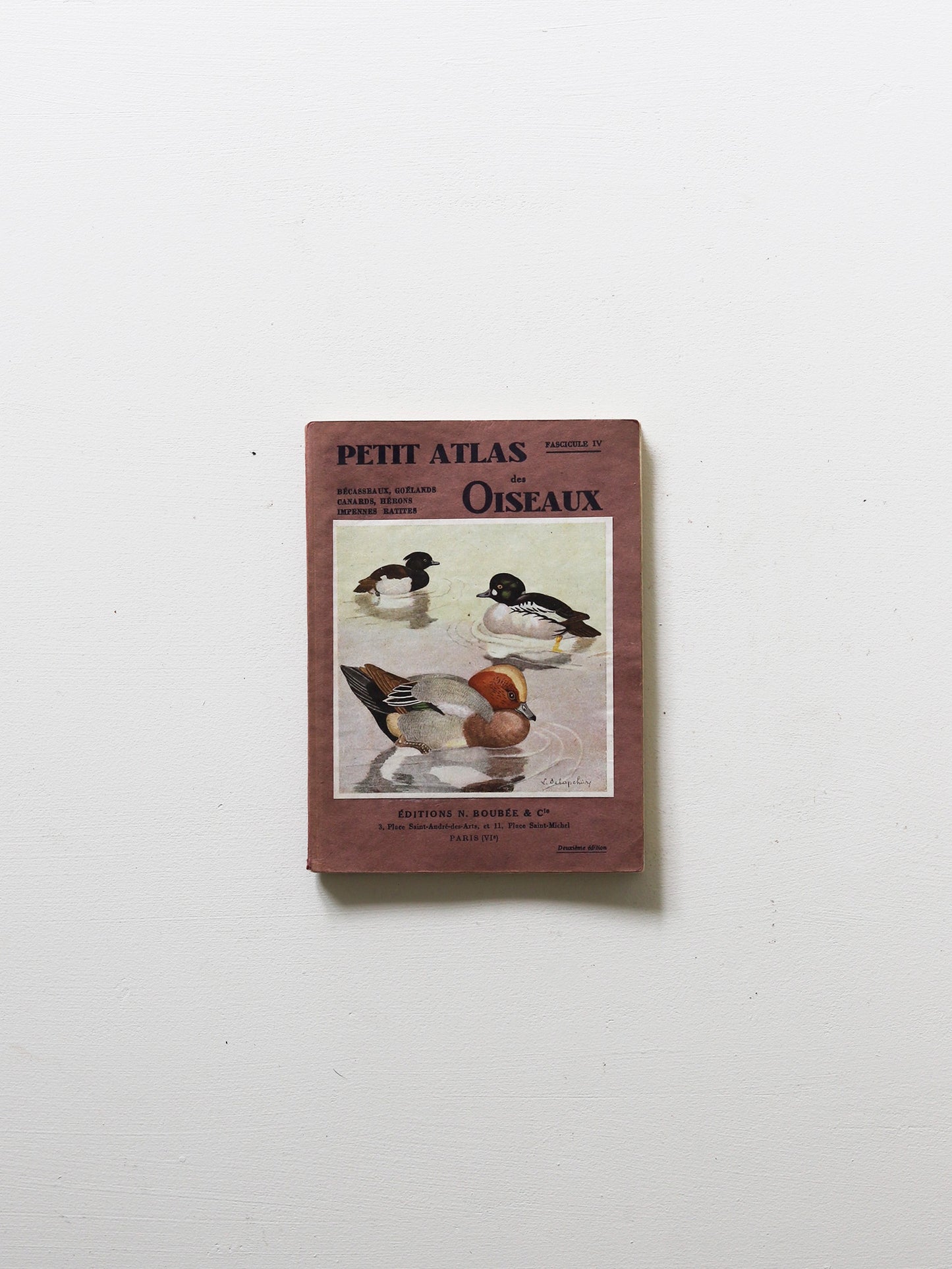 BIRD BOOK