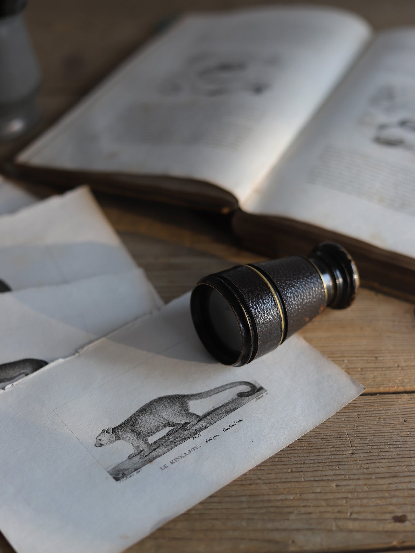 MONOCLE
