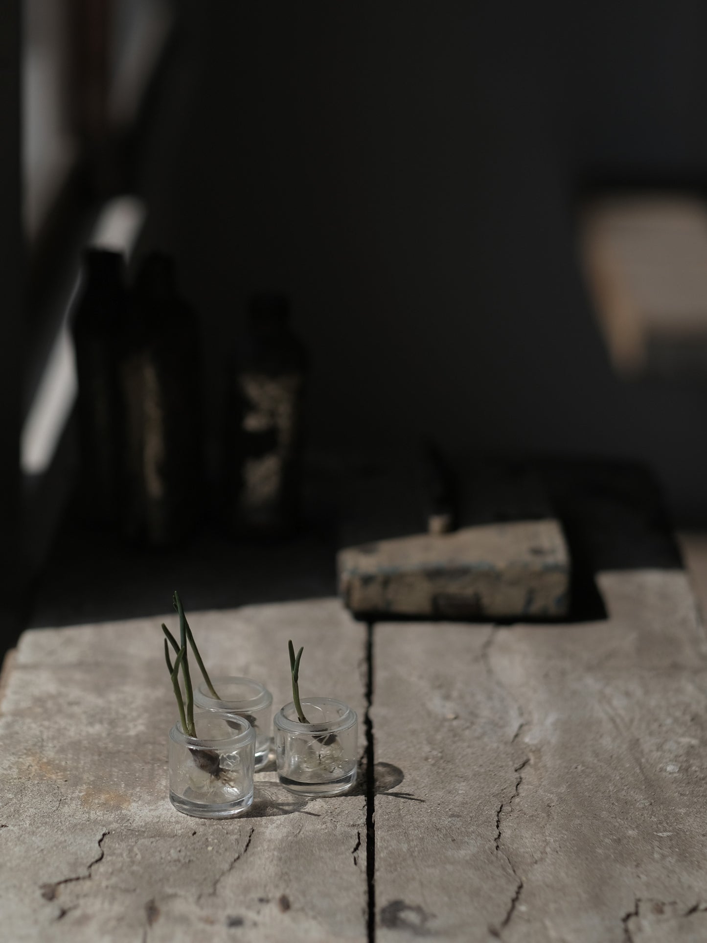 MINI MINI BOTTLE 3PCS SET