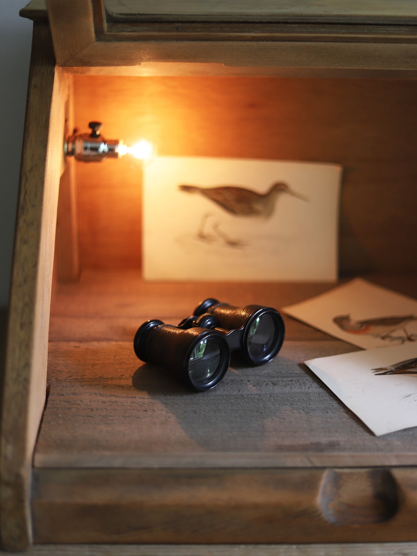 BINOCULARS