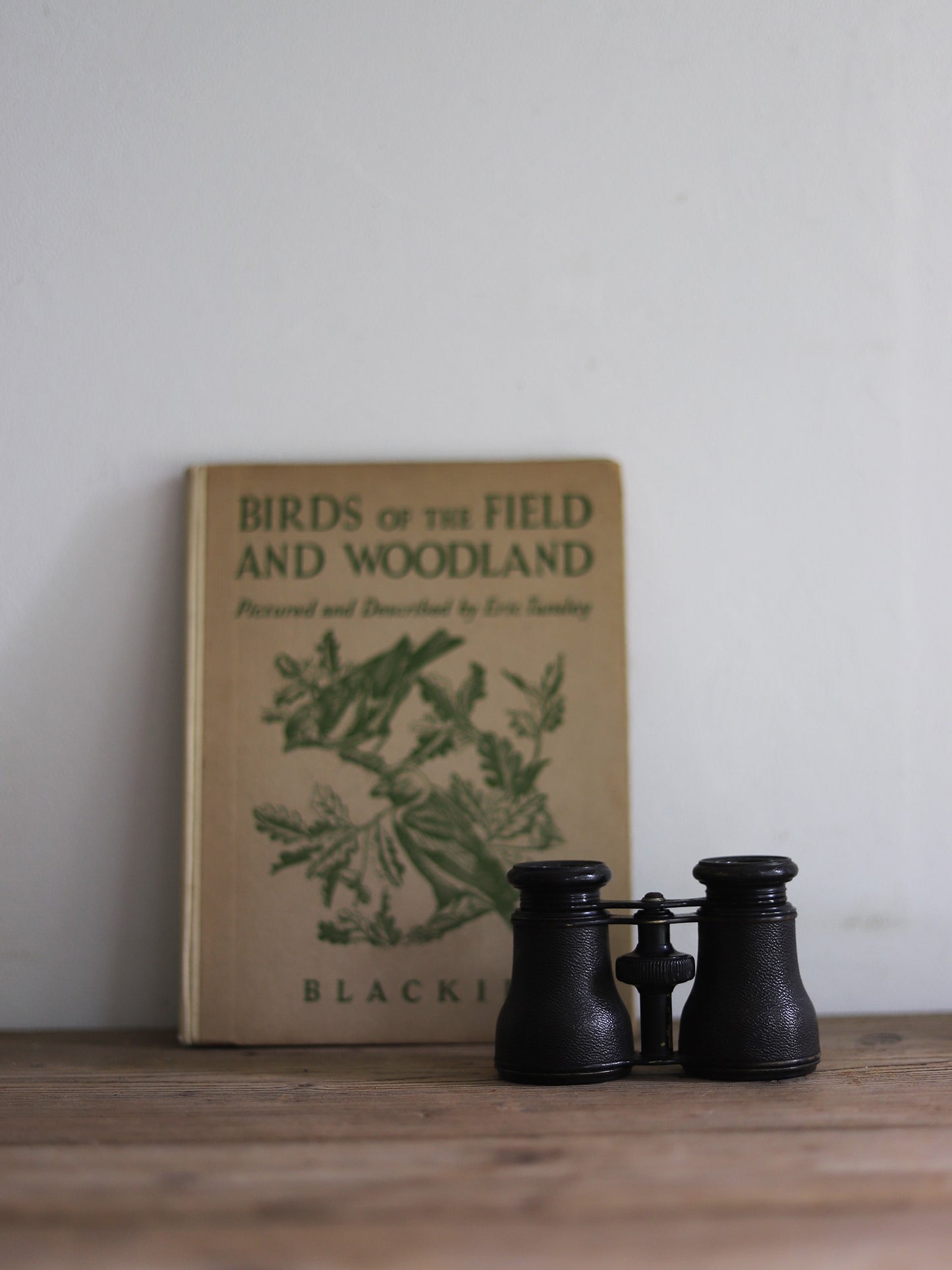 BINOCULARS