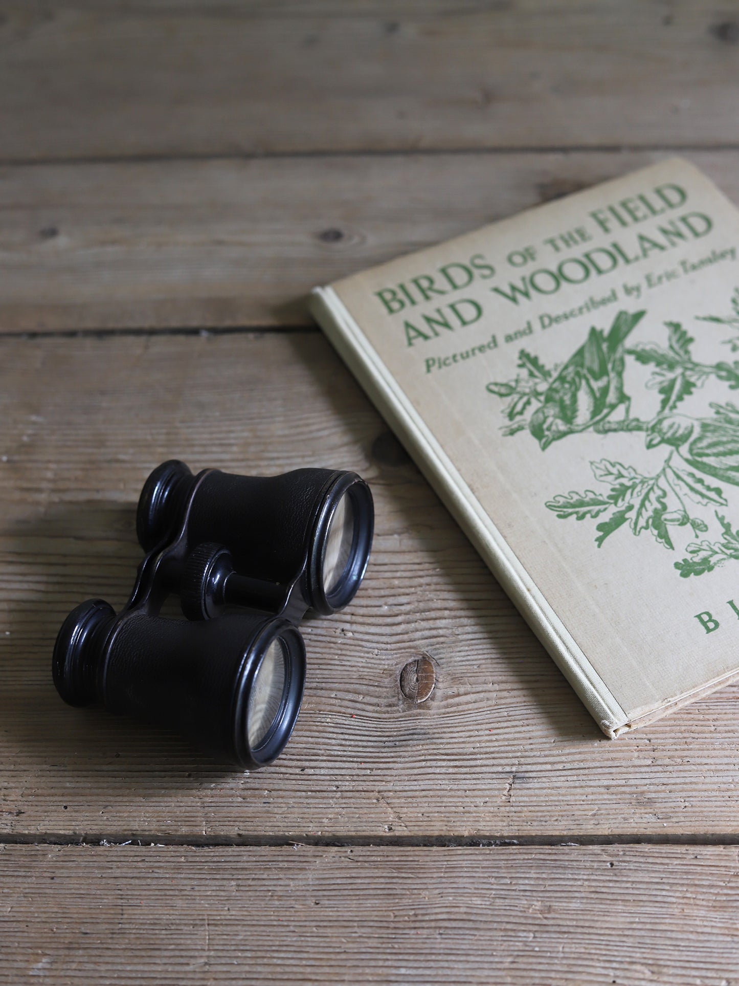 BINOCULARS