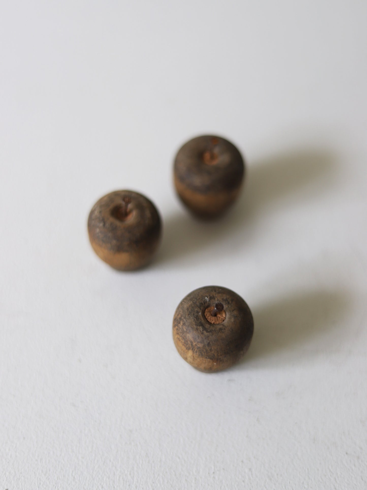 CRABAPPLE