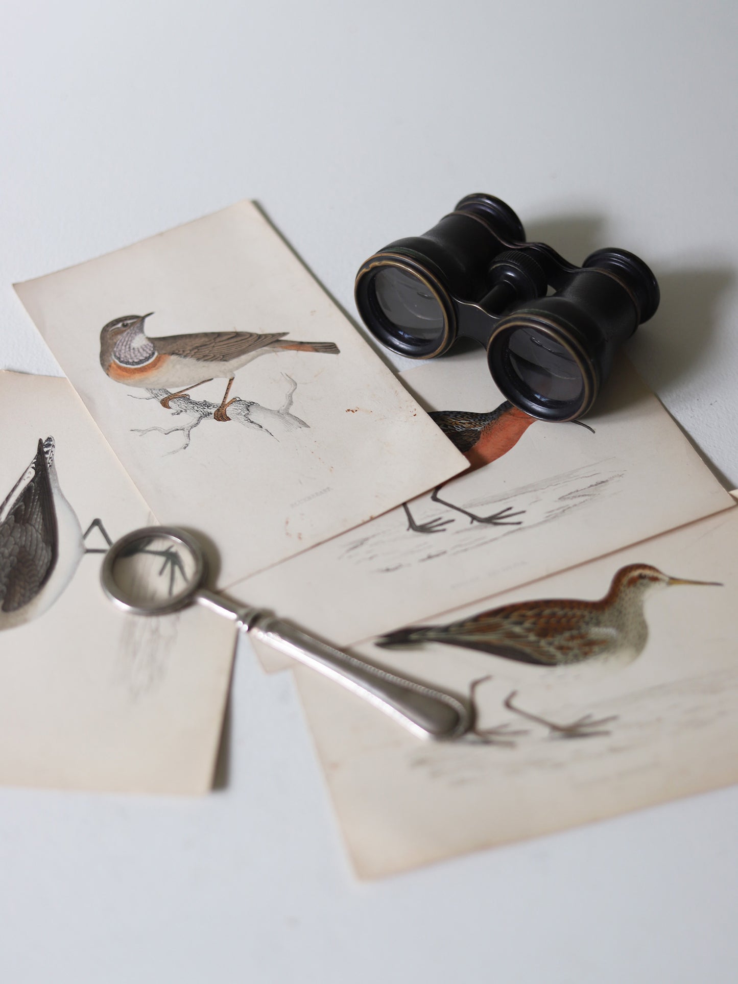 BINOCULARS