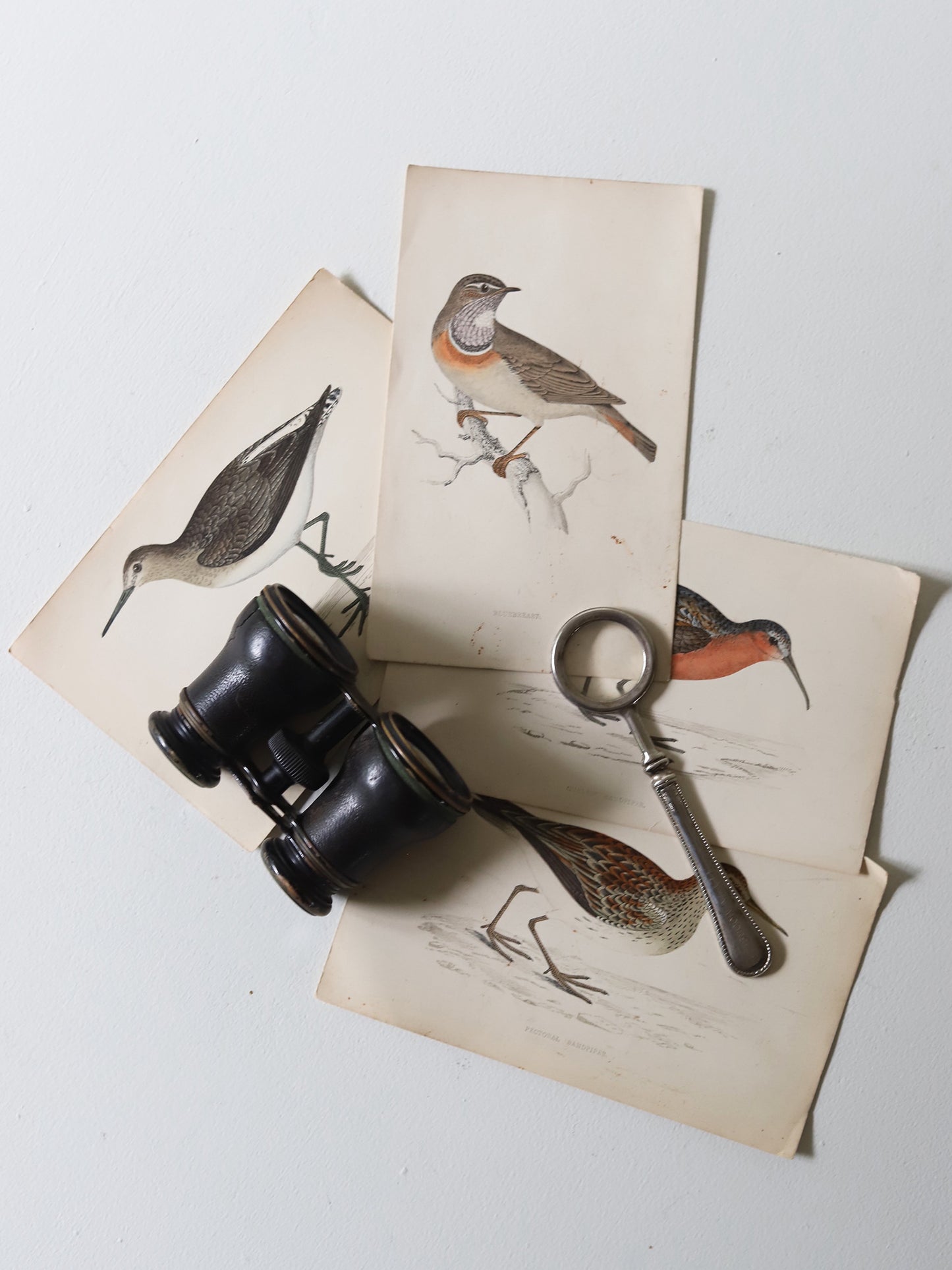BINOCULARS