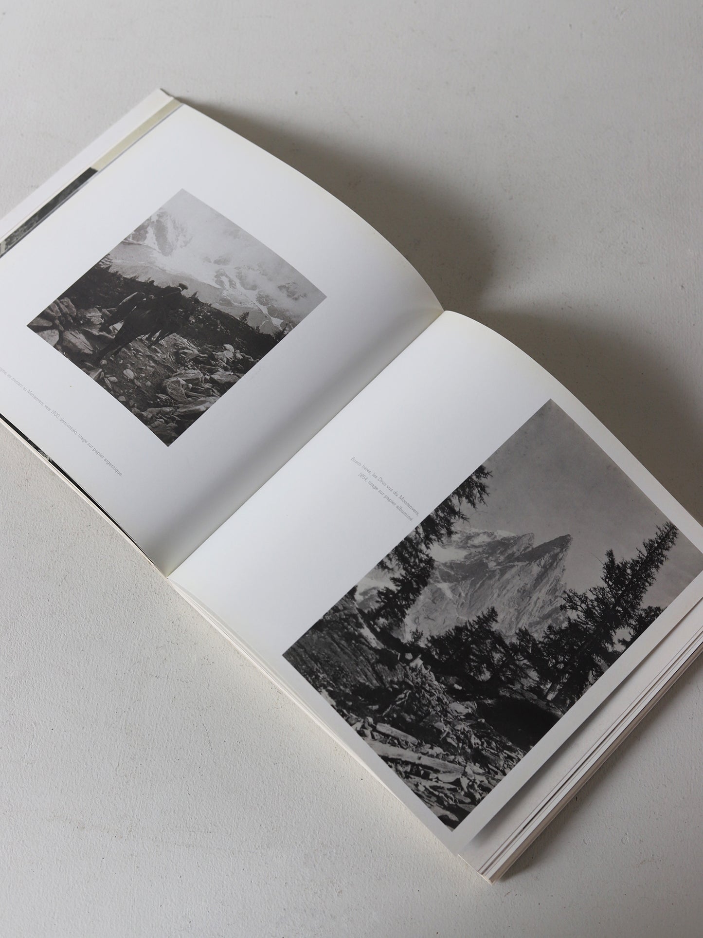 HERBIER DES ALPES