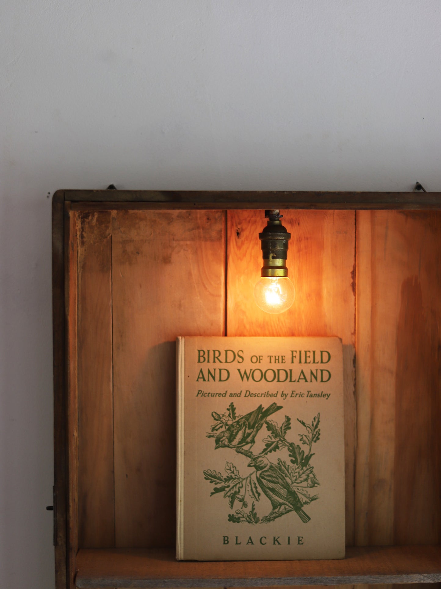 WOODBOX with LAMP