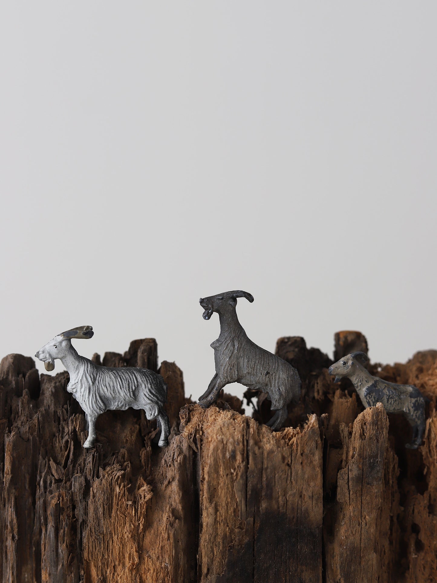 005c　三びきのやぎのがらがらどん