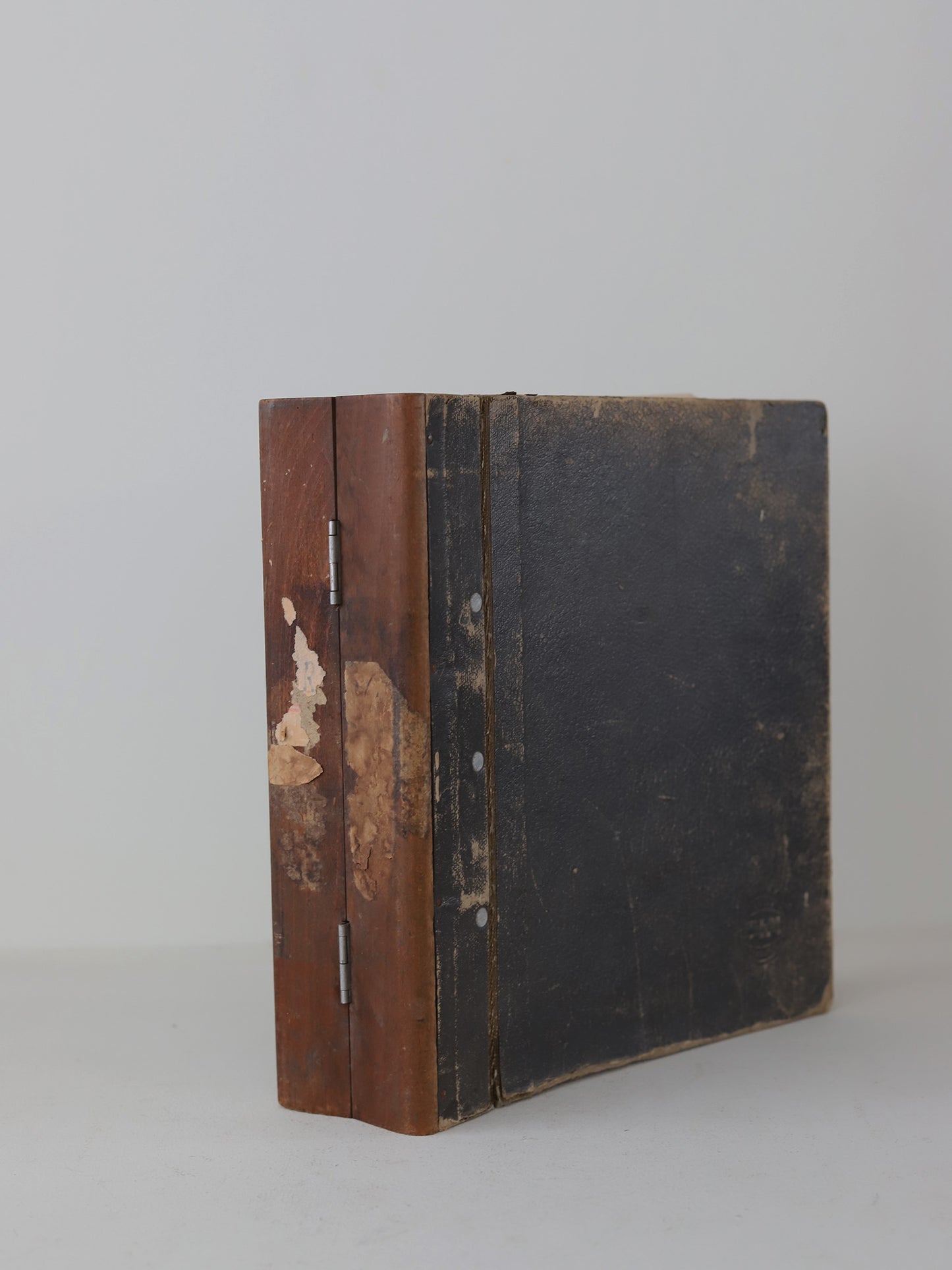 008 木のファイル