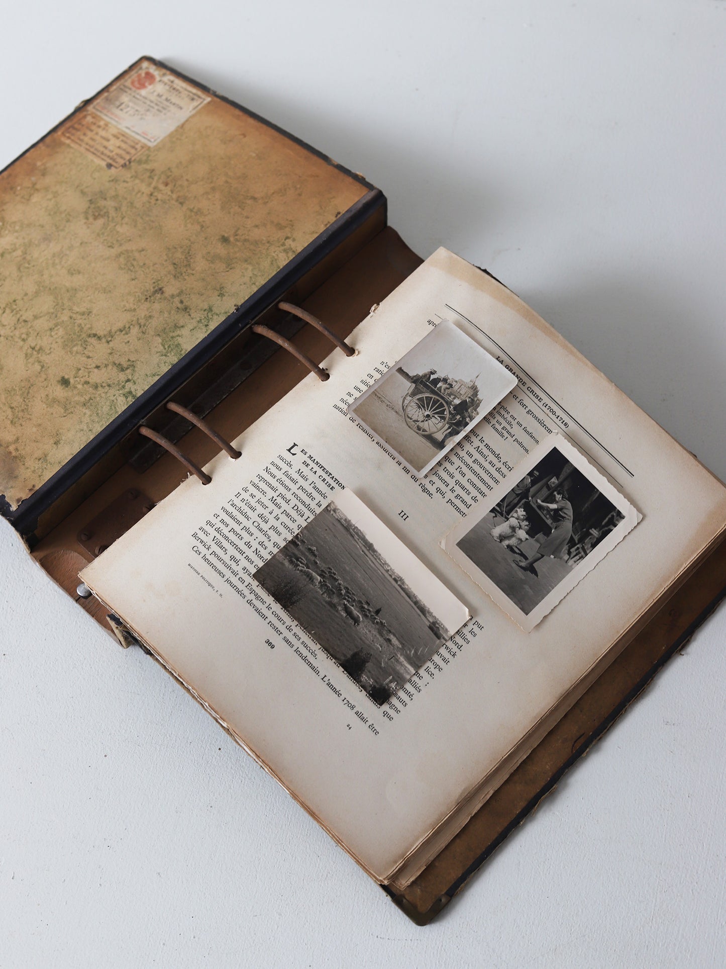 008 木のファイル