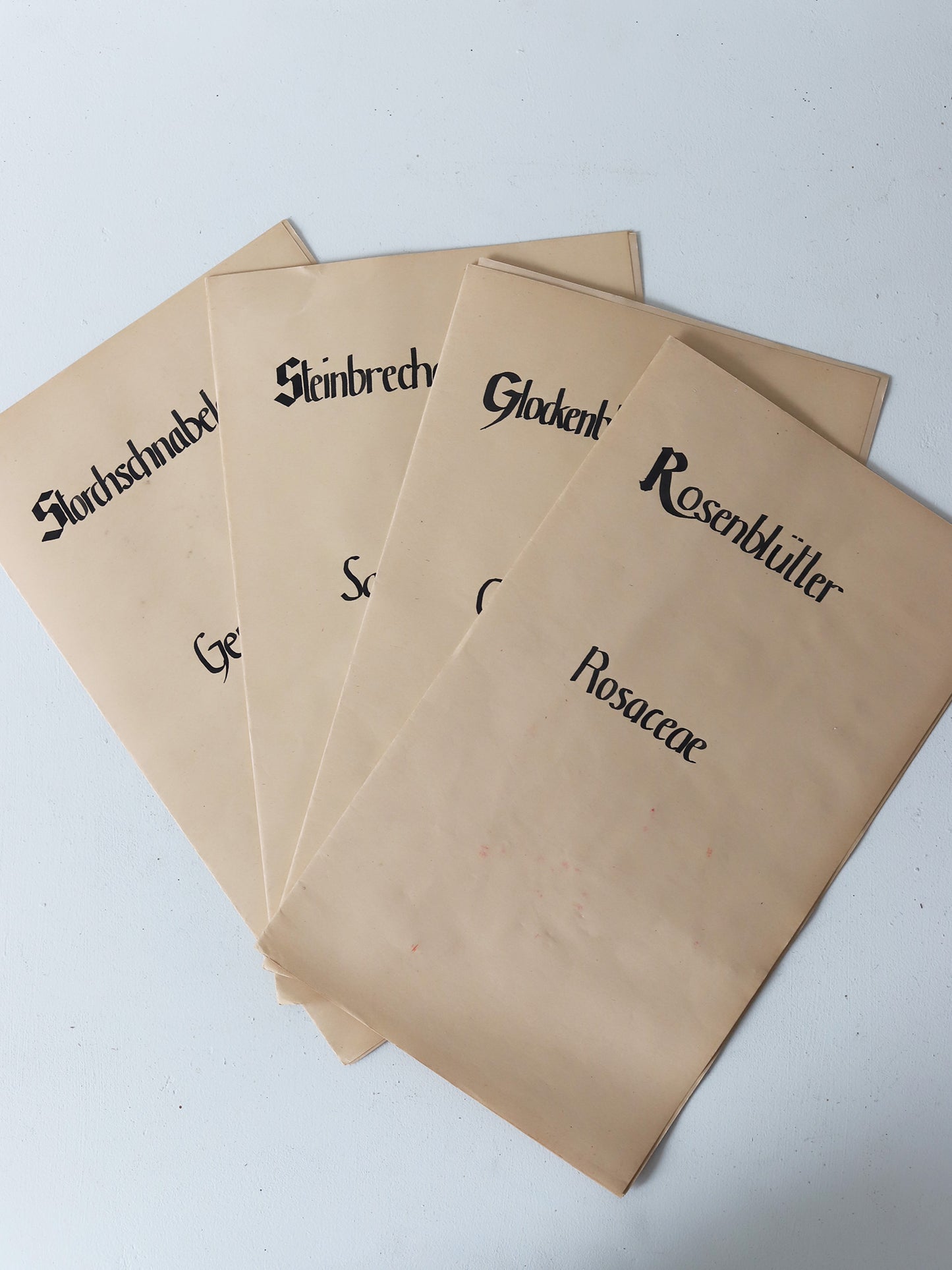 112 押し花３枚セット