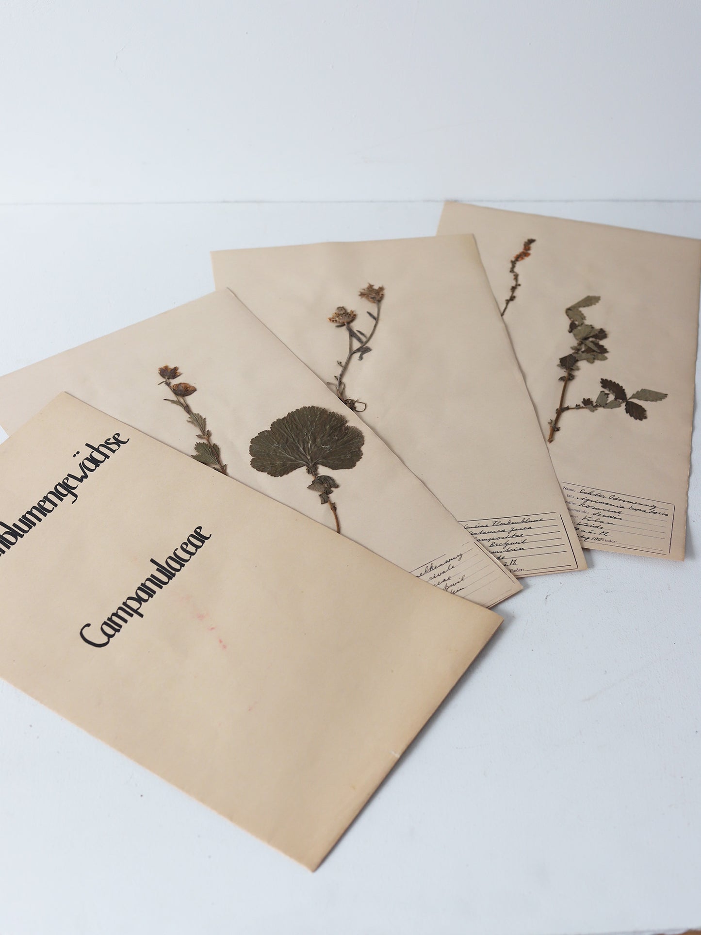 112 押し花３枚セット