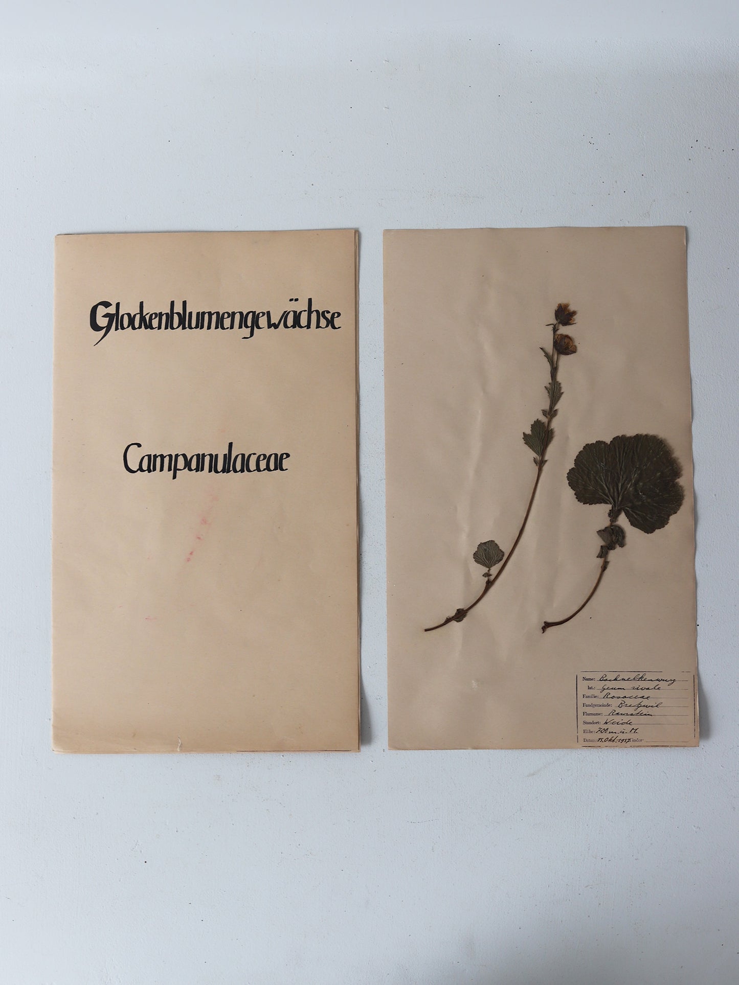 112 押し花３枚セット