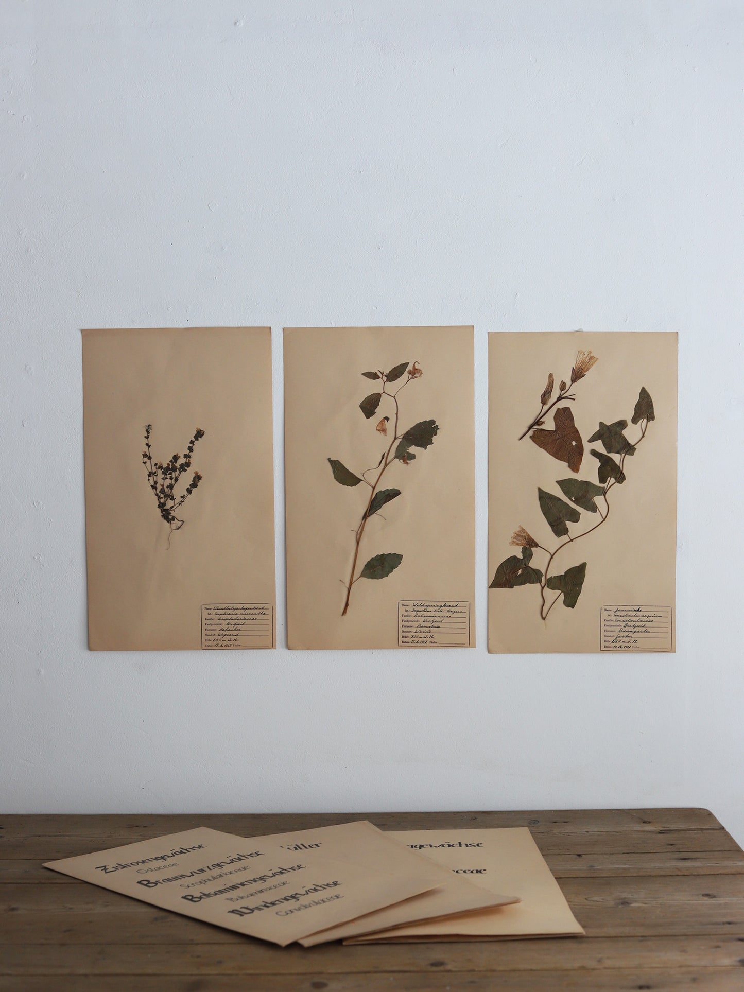 112 押し花３枚セット