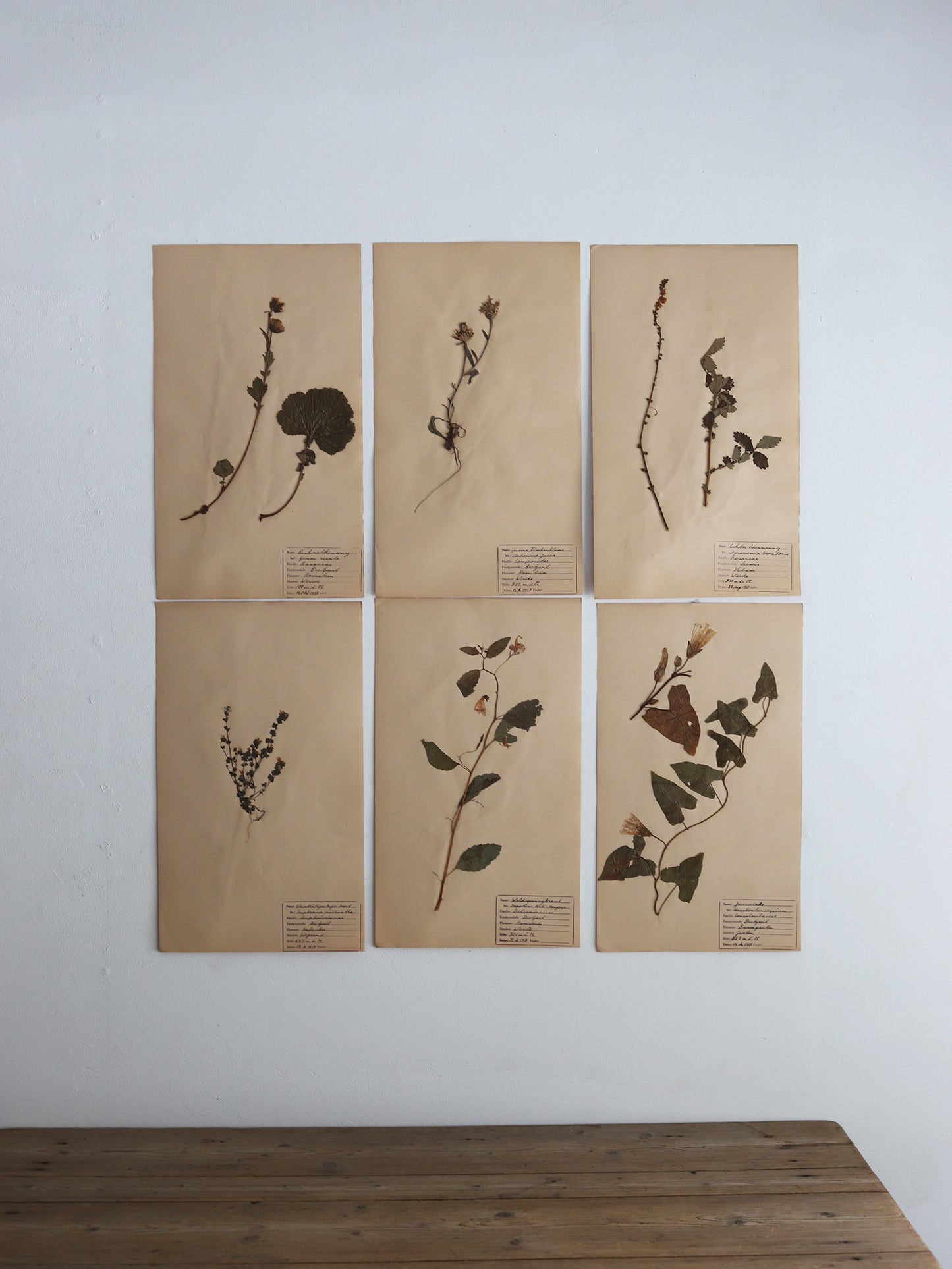 112 押し花３枚セット