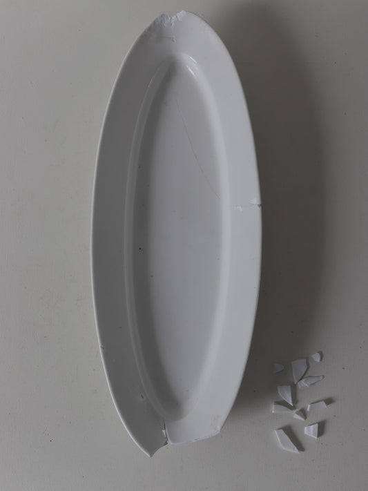 108  大きなポワソンプレートA