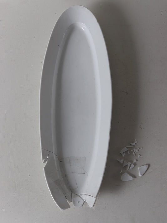 109  大きなポワソンプレートB