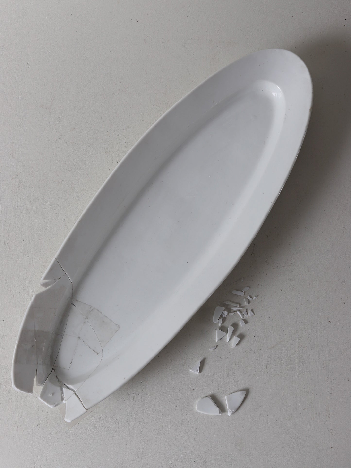 109  大きなポワソンプレートB