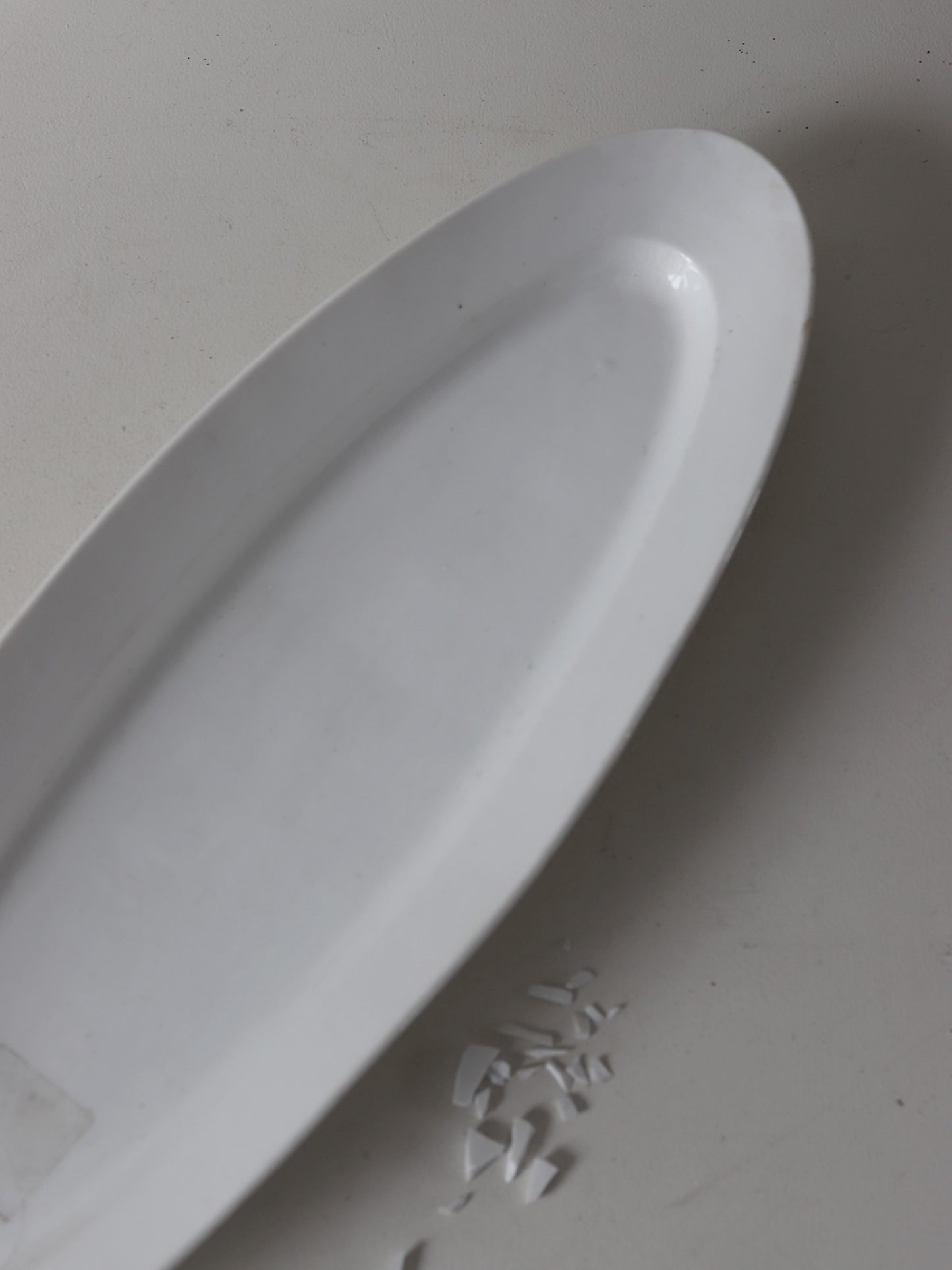 109  大きなポワソンプレートB