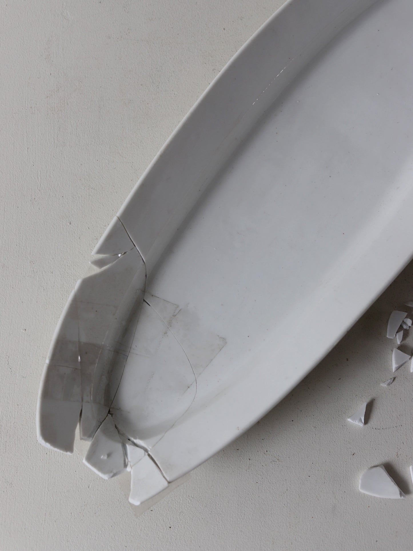 109  大きなポワソンプレートB