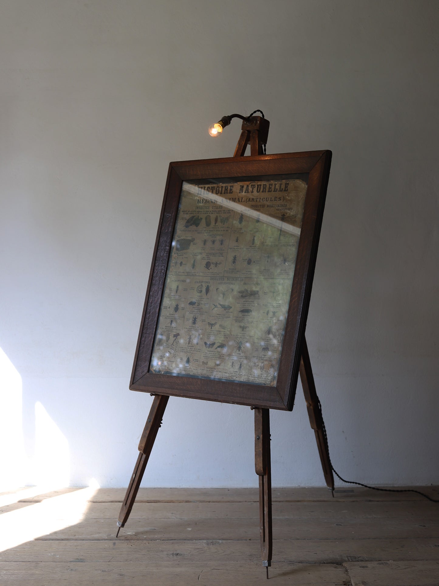 EASEL LAMP