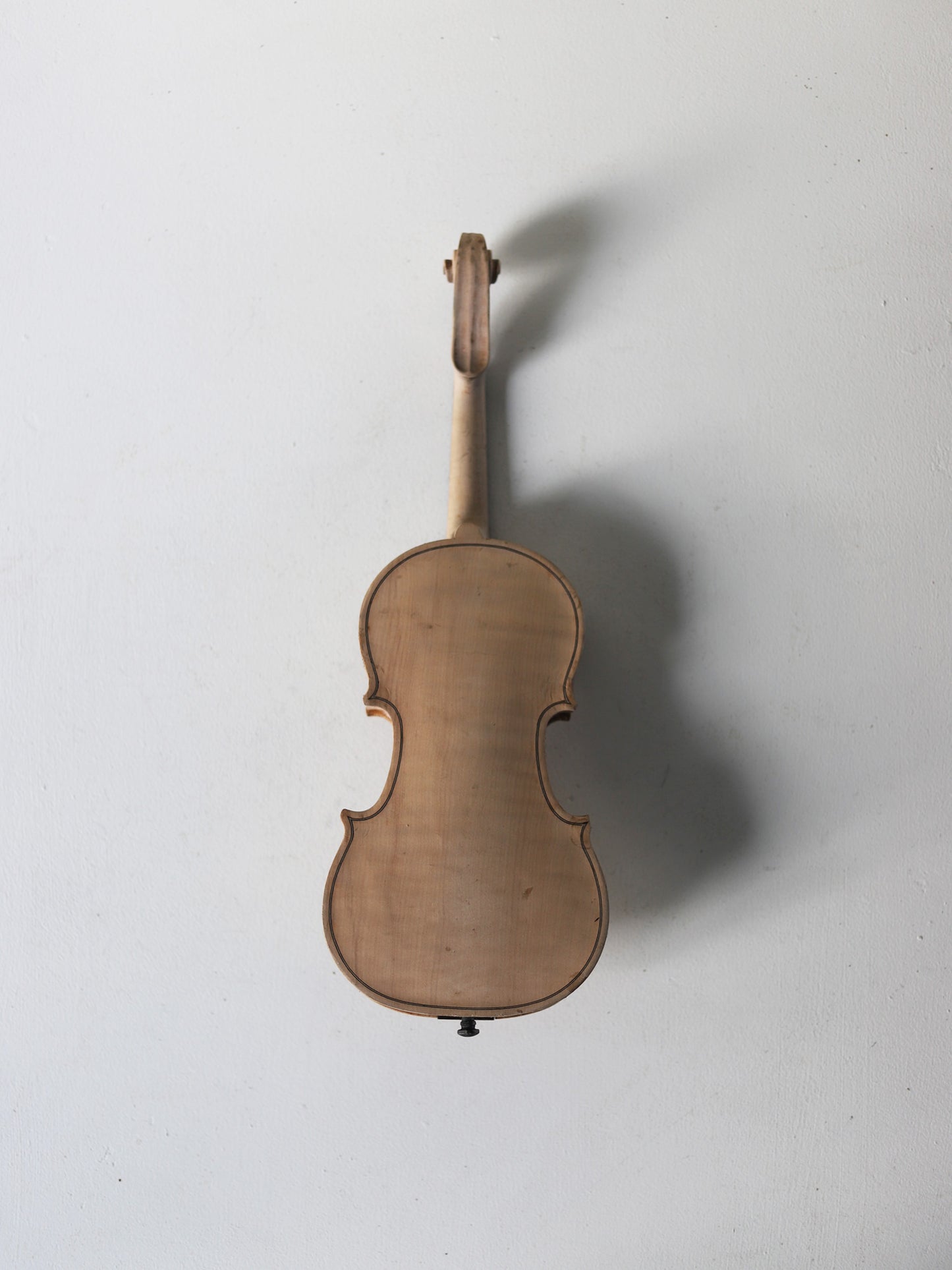 VIOLIN M 288