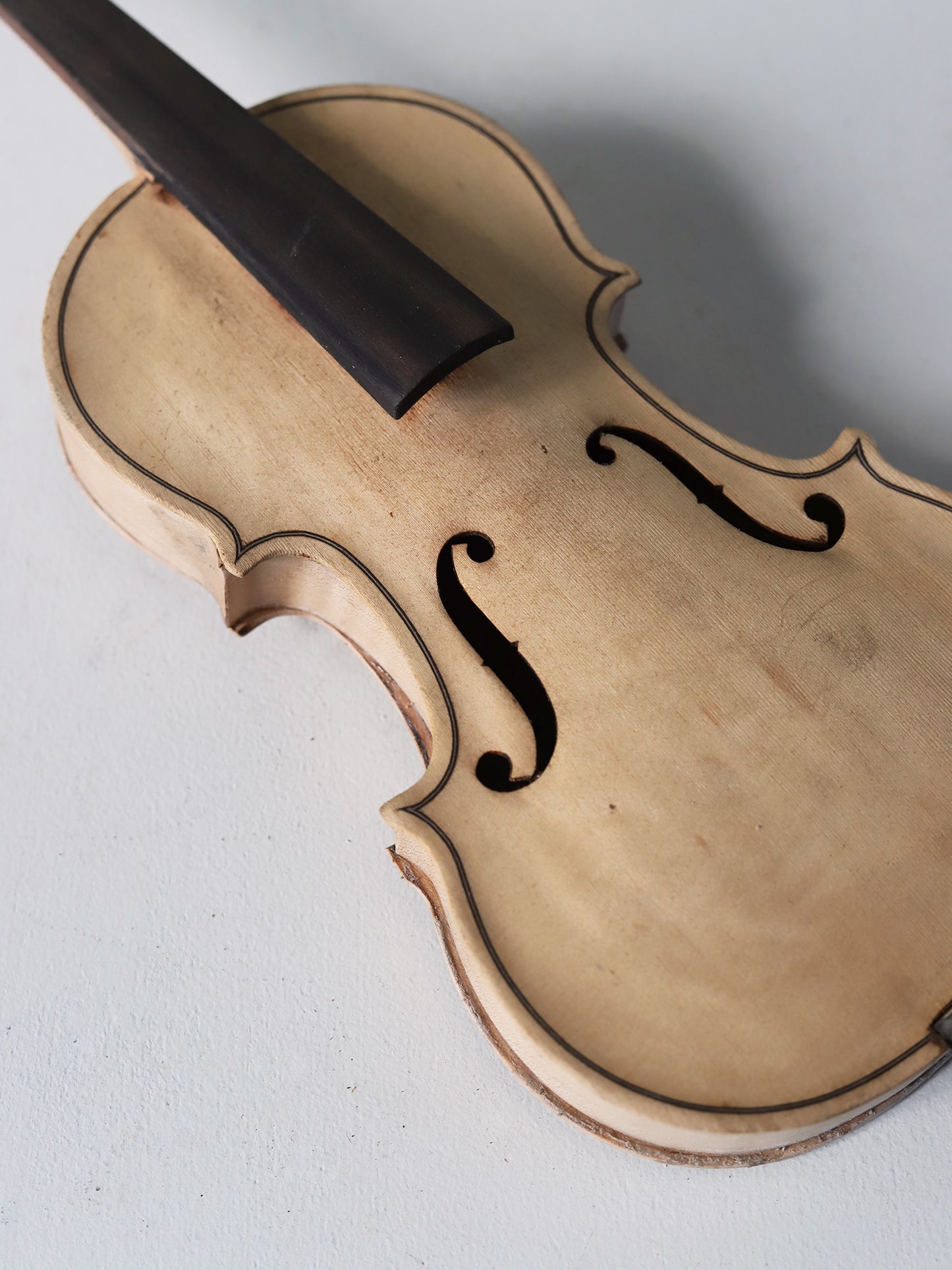 VIOLIN M 288