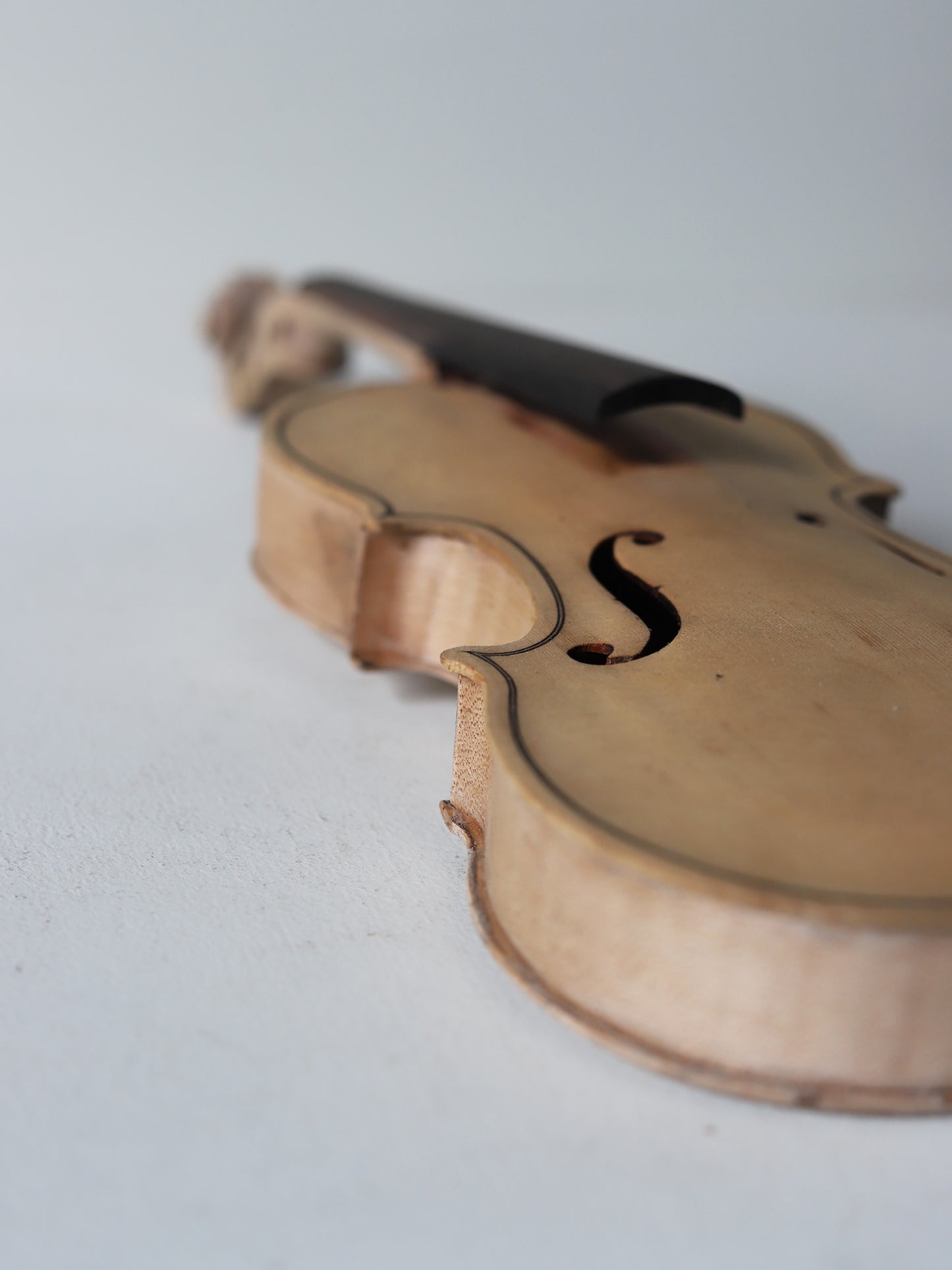 VIOLIN M 288