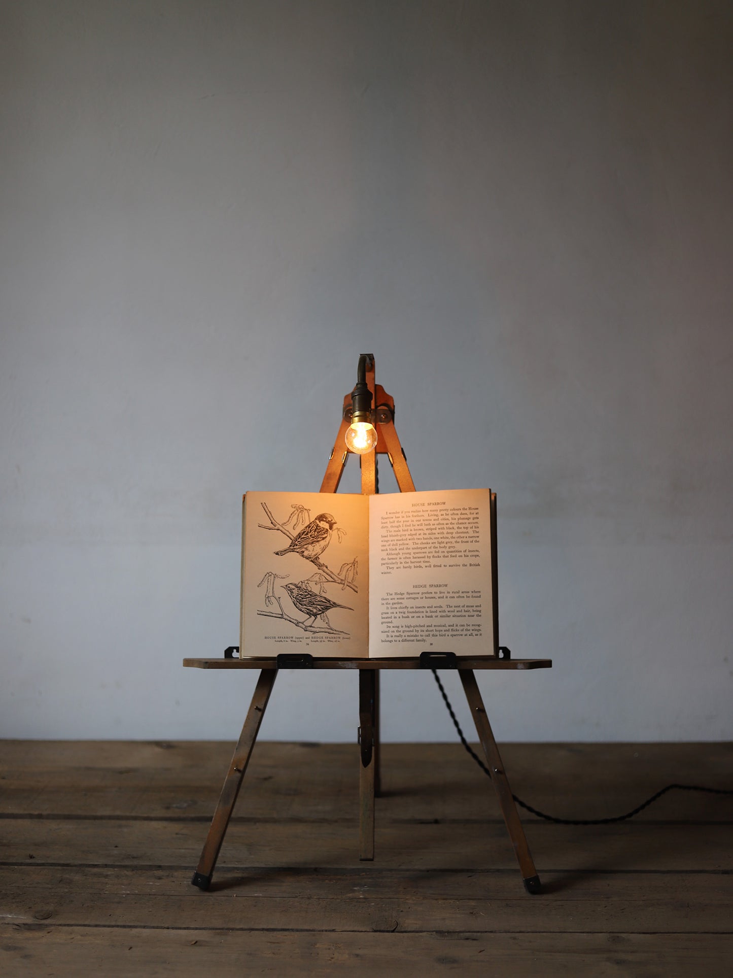 EASEL LAMP
