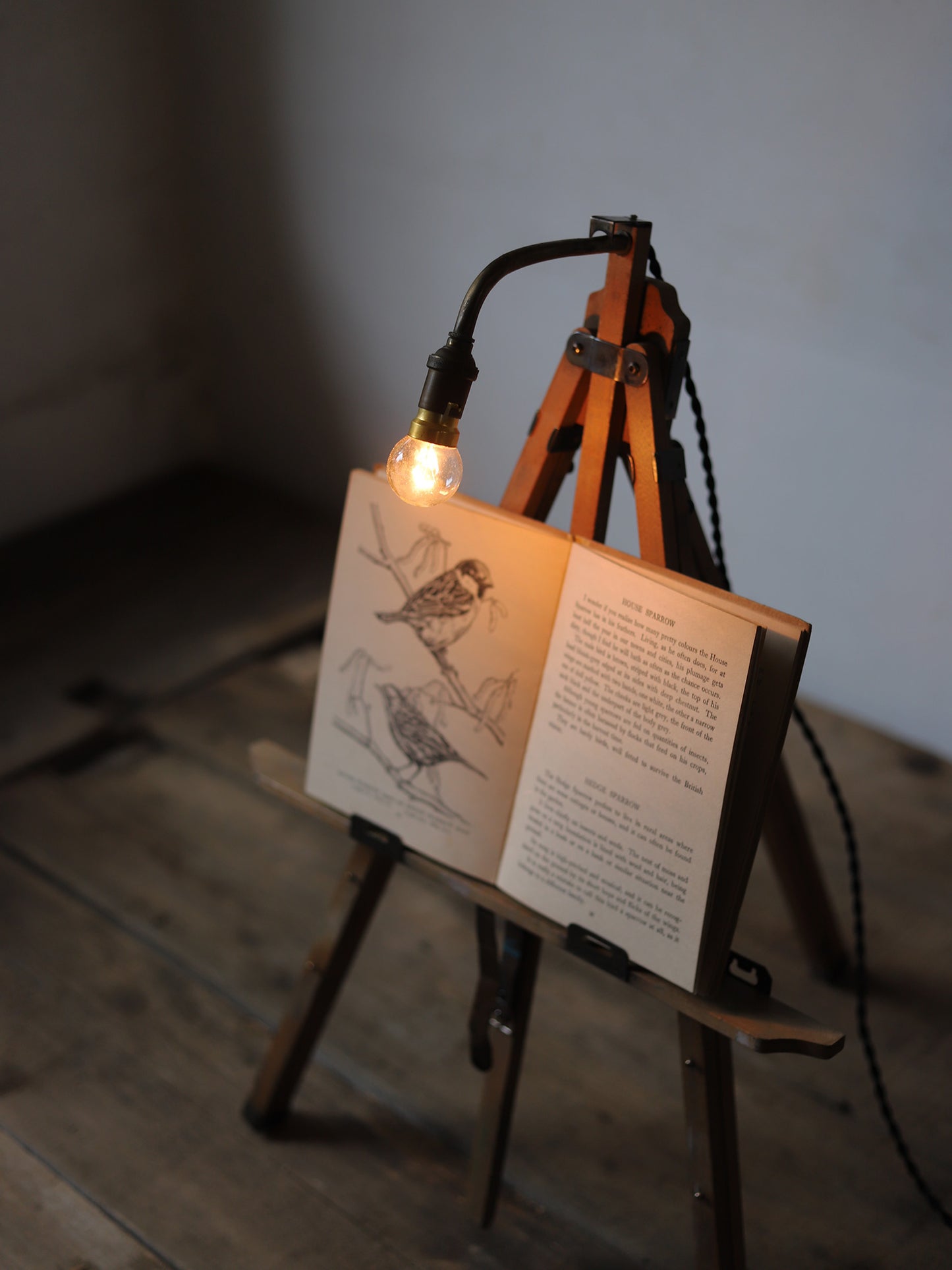 EASEL LAMP