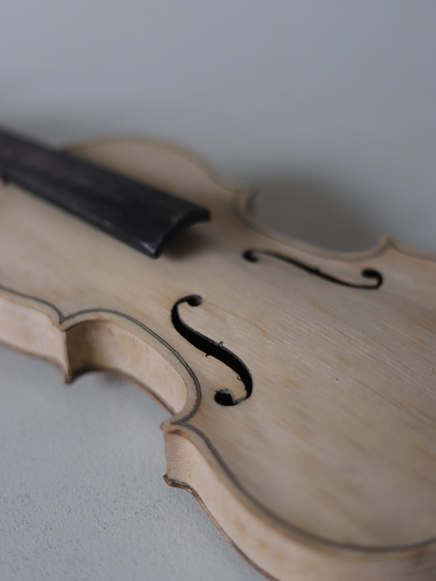 VIOLIN S  with CASE