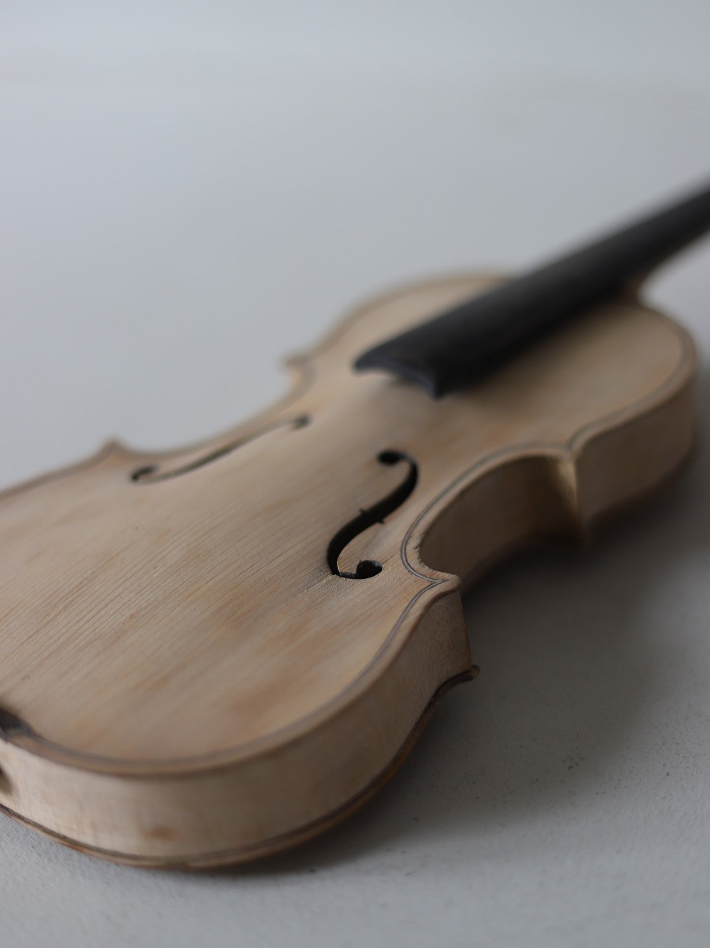 VIOLIN S  with CASE