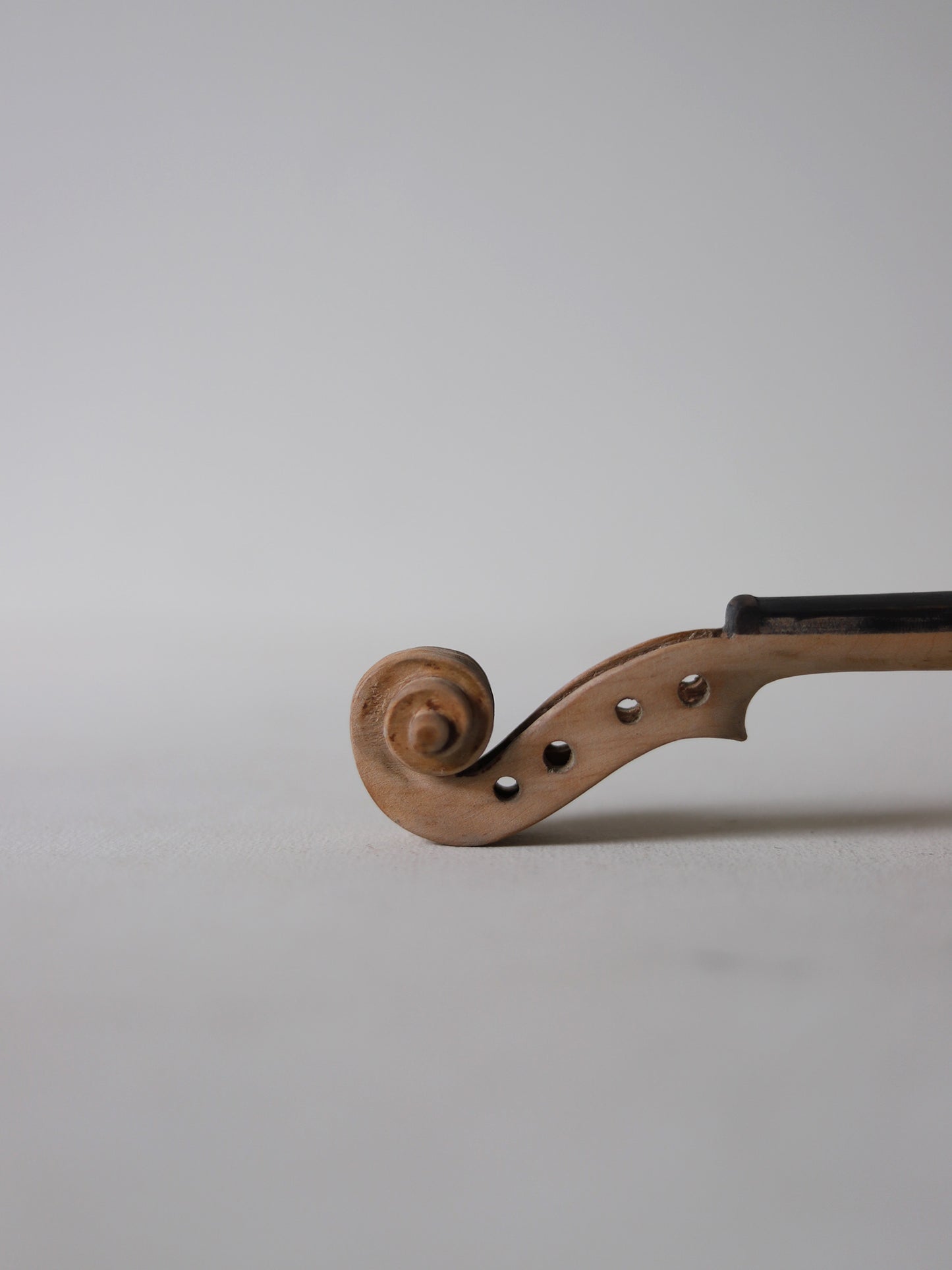 VIOLIN S  with CASE