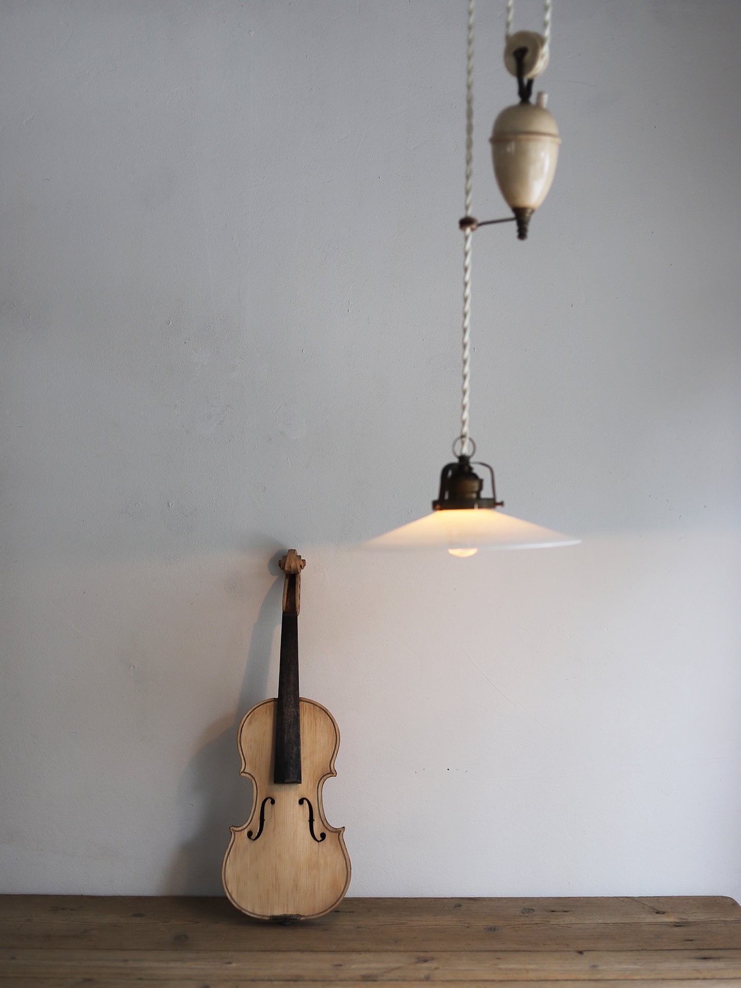 VIOLIN S  with CASE