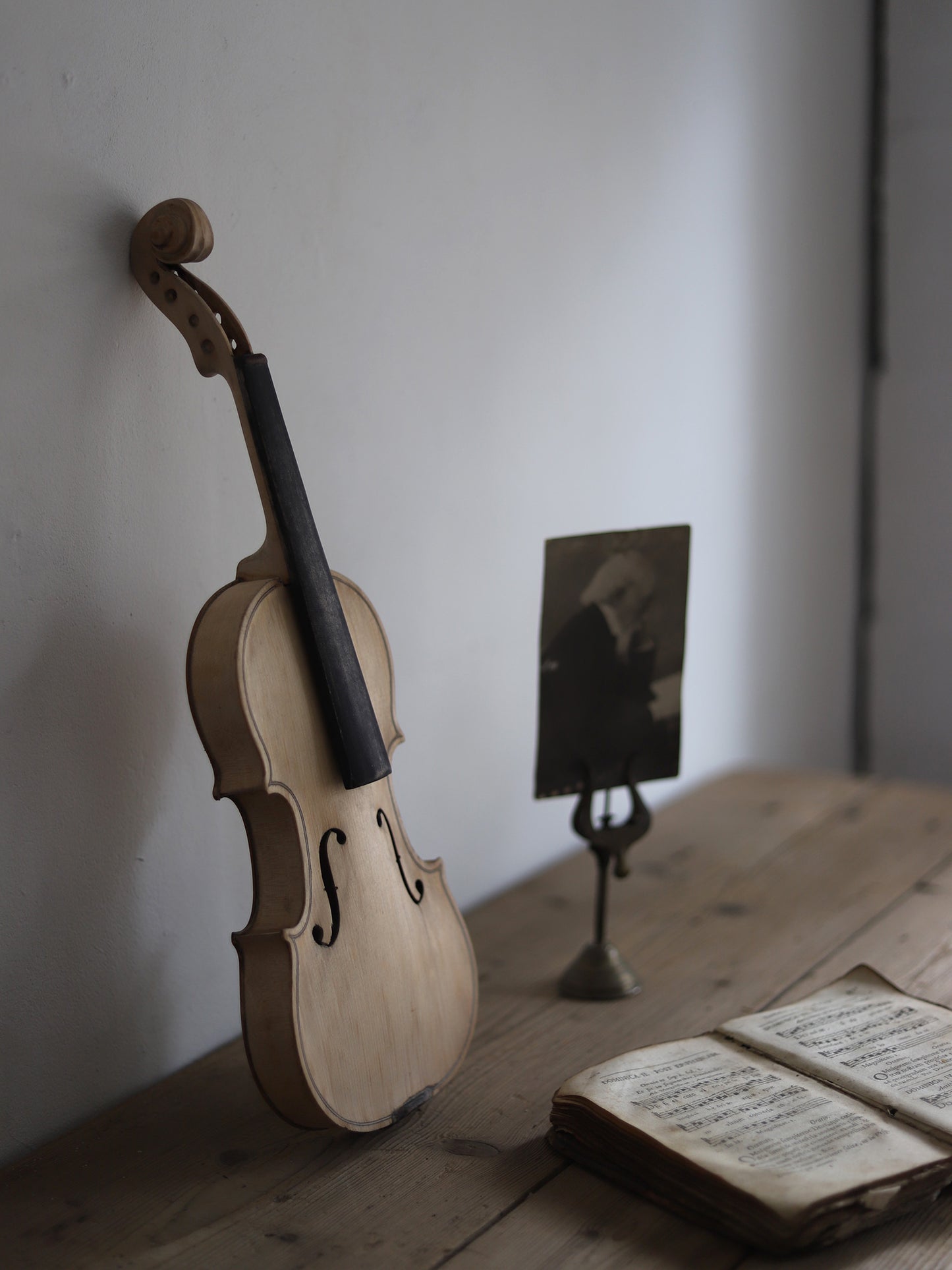 VIOLIN S  with CASE