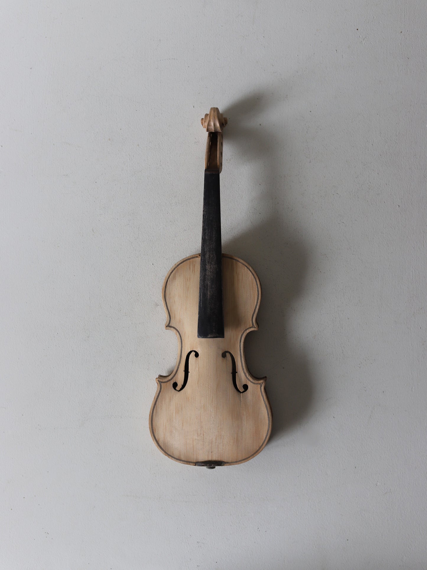 VIOLIN S  with CASE