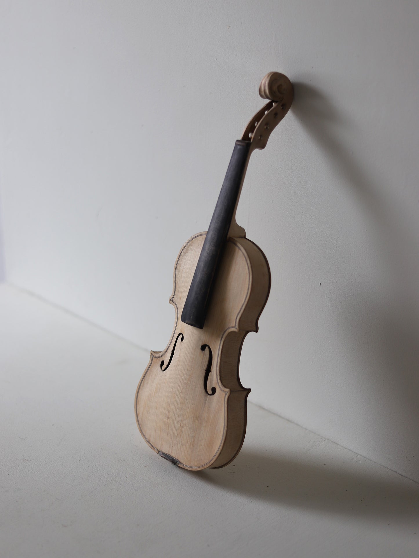 VIOLIN S  with CASE