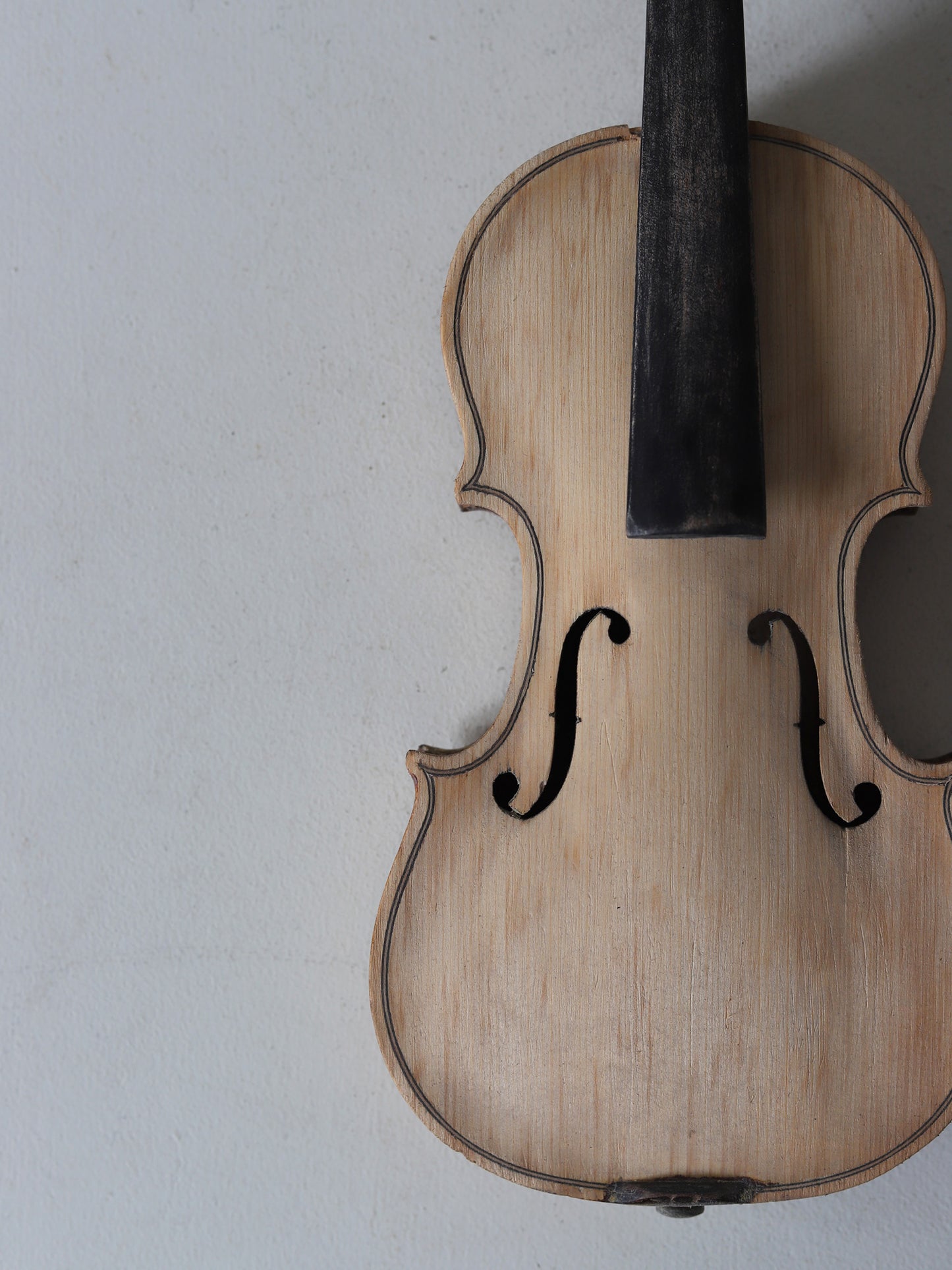 VIOLIN S  with CASE