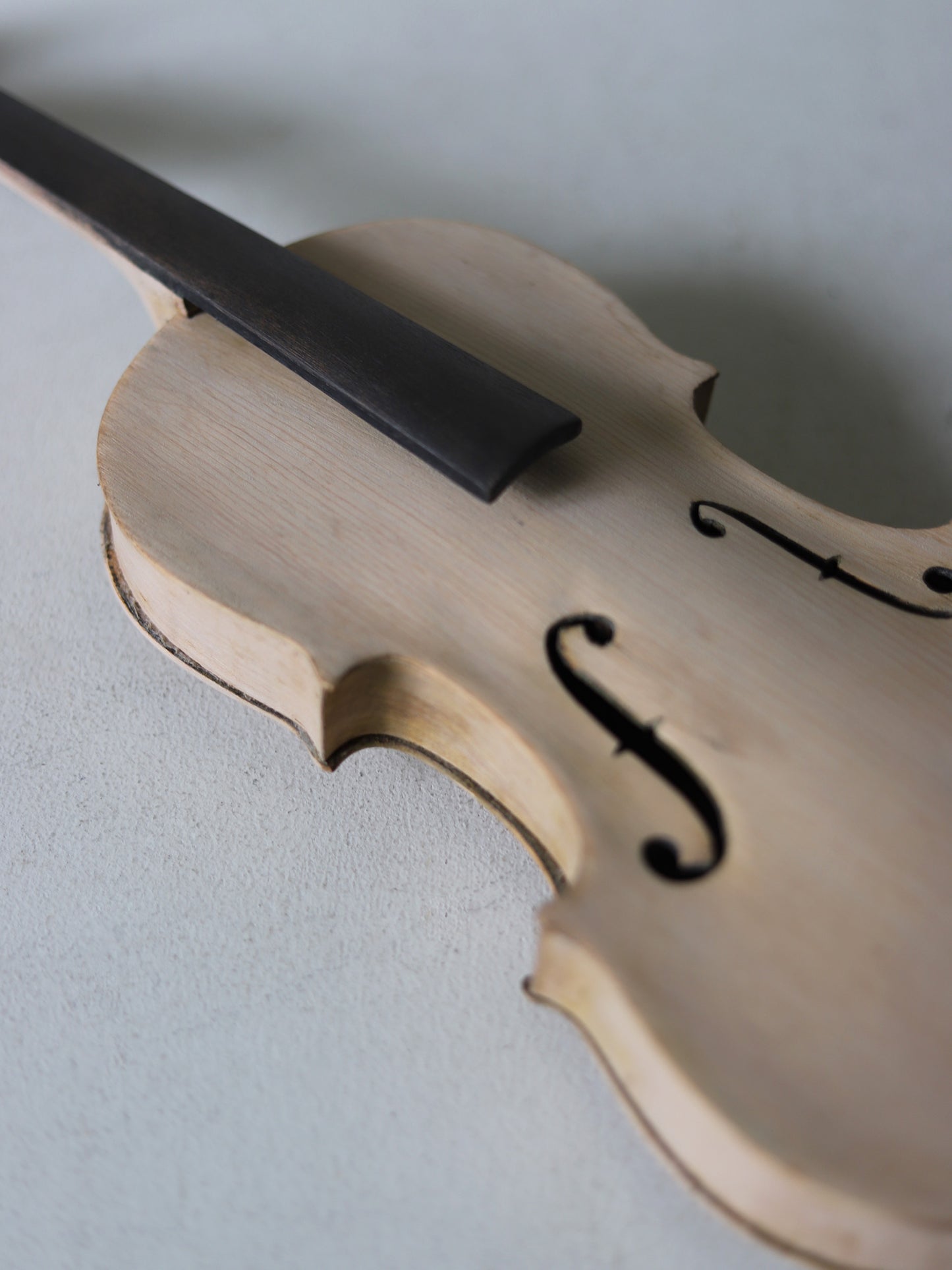 VIOLIN S