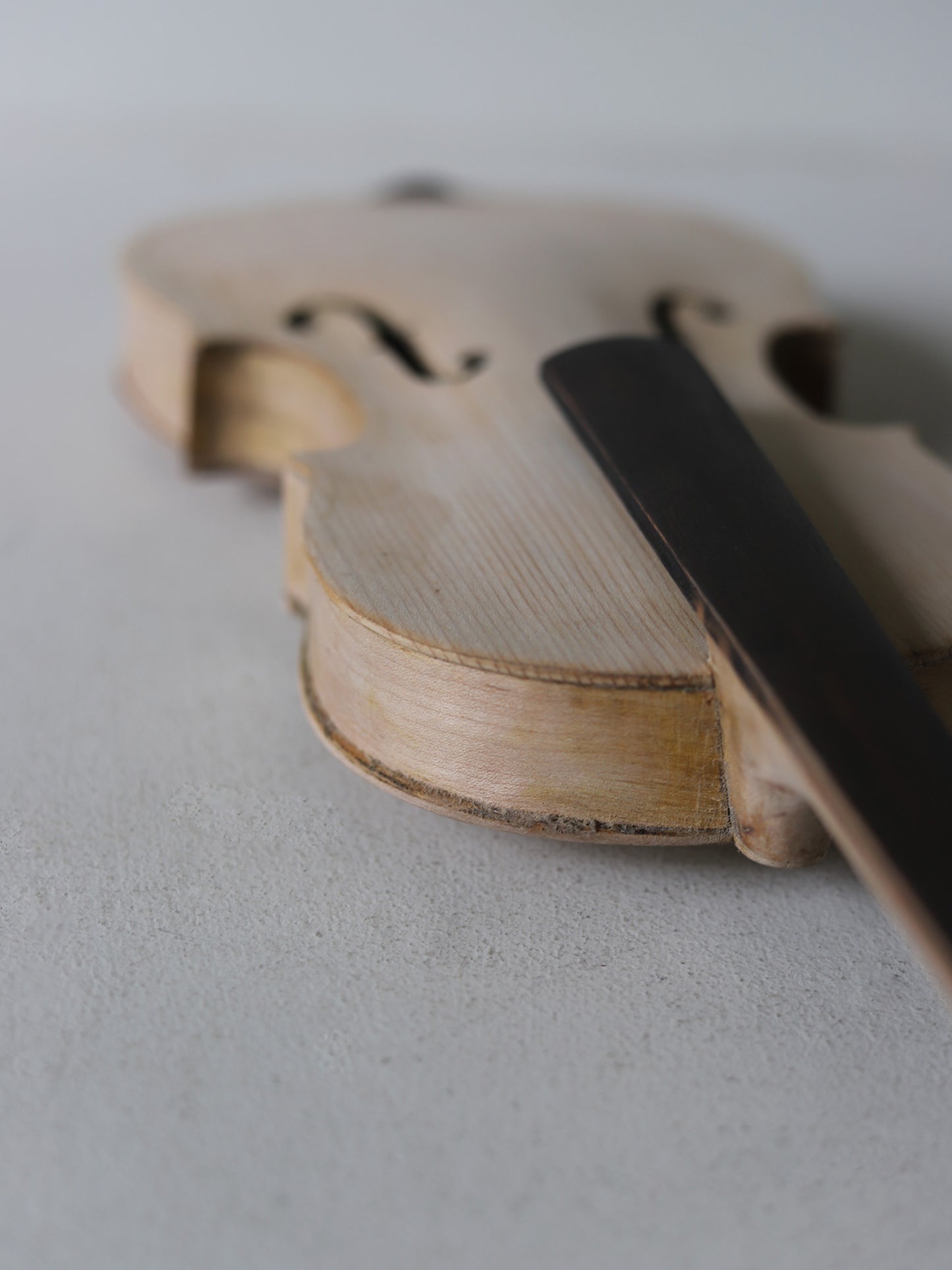 VIOLIN S