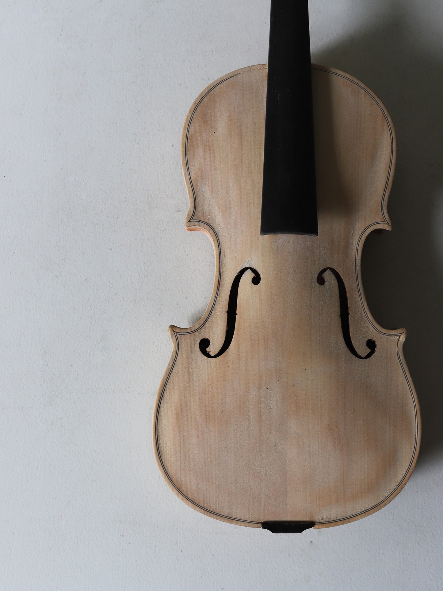 VIOLIN M