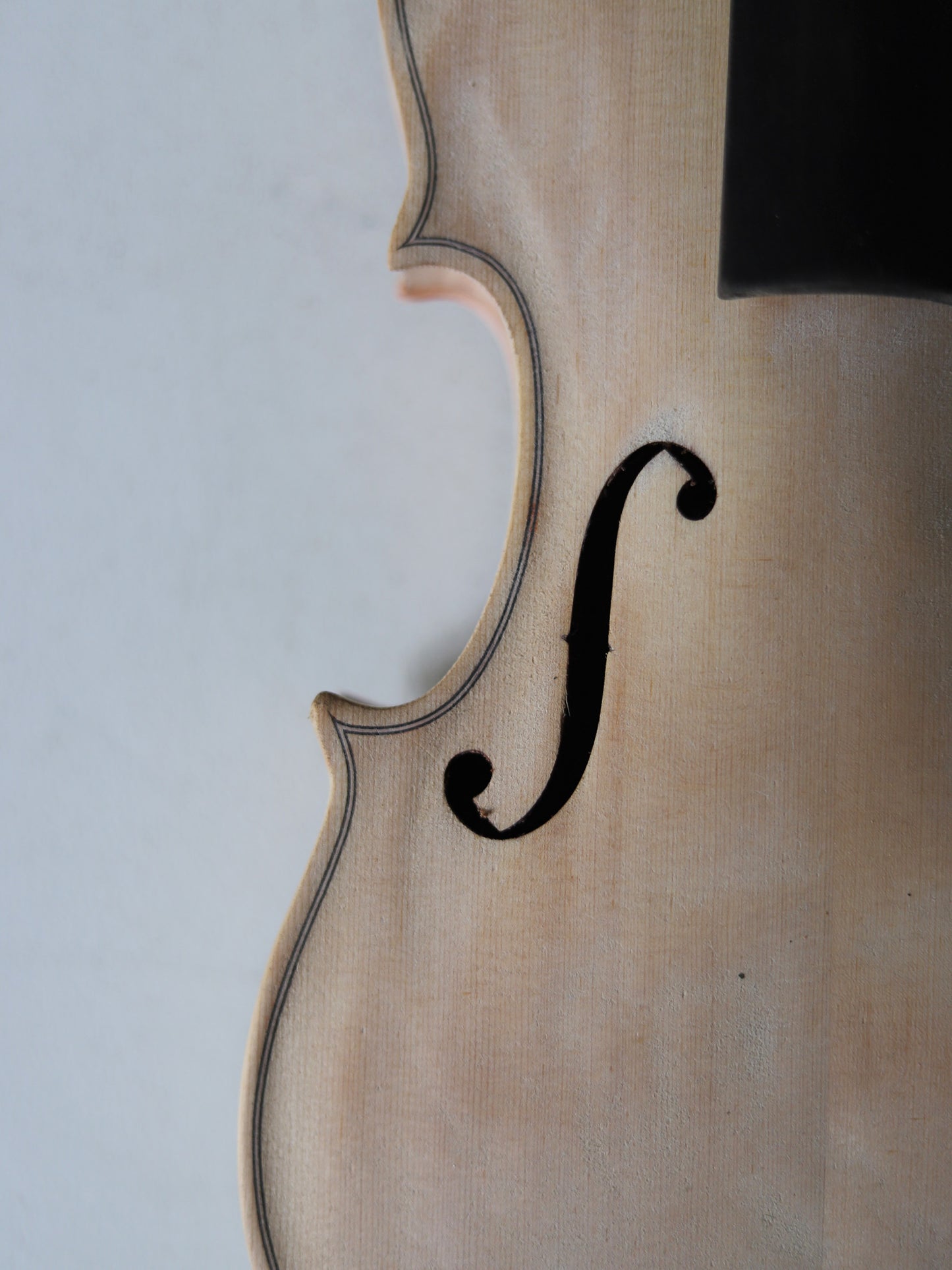 VIOLIN M