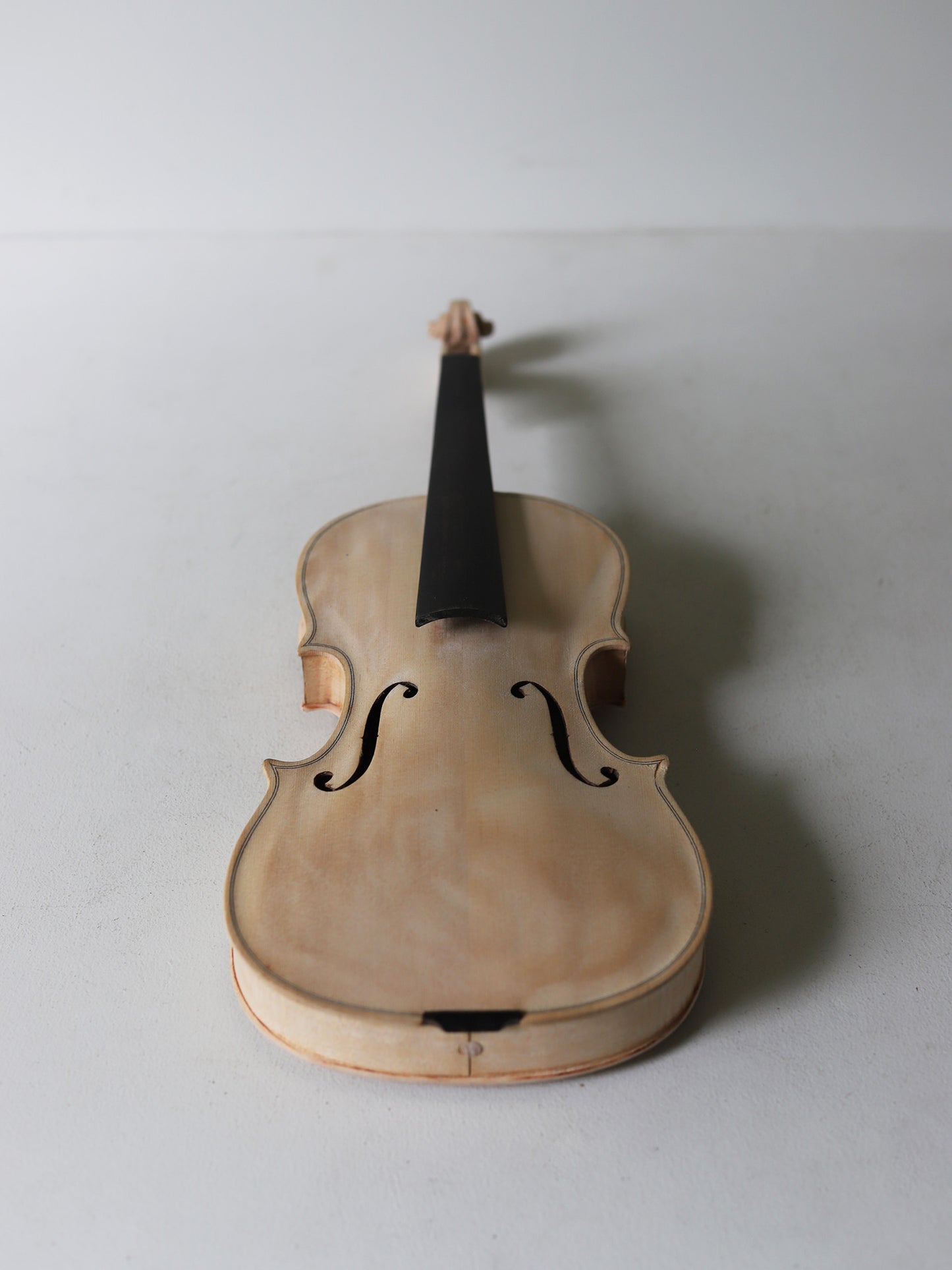 VIOLIN M