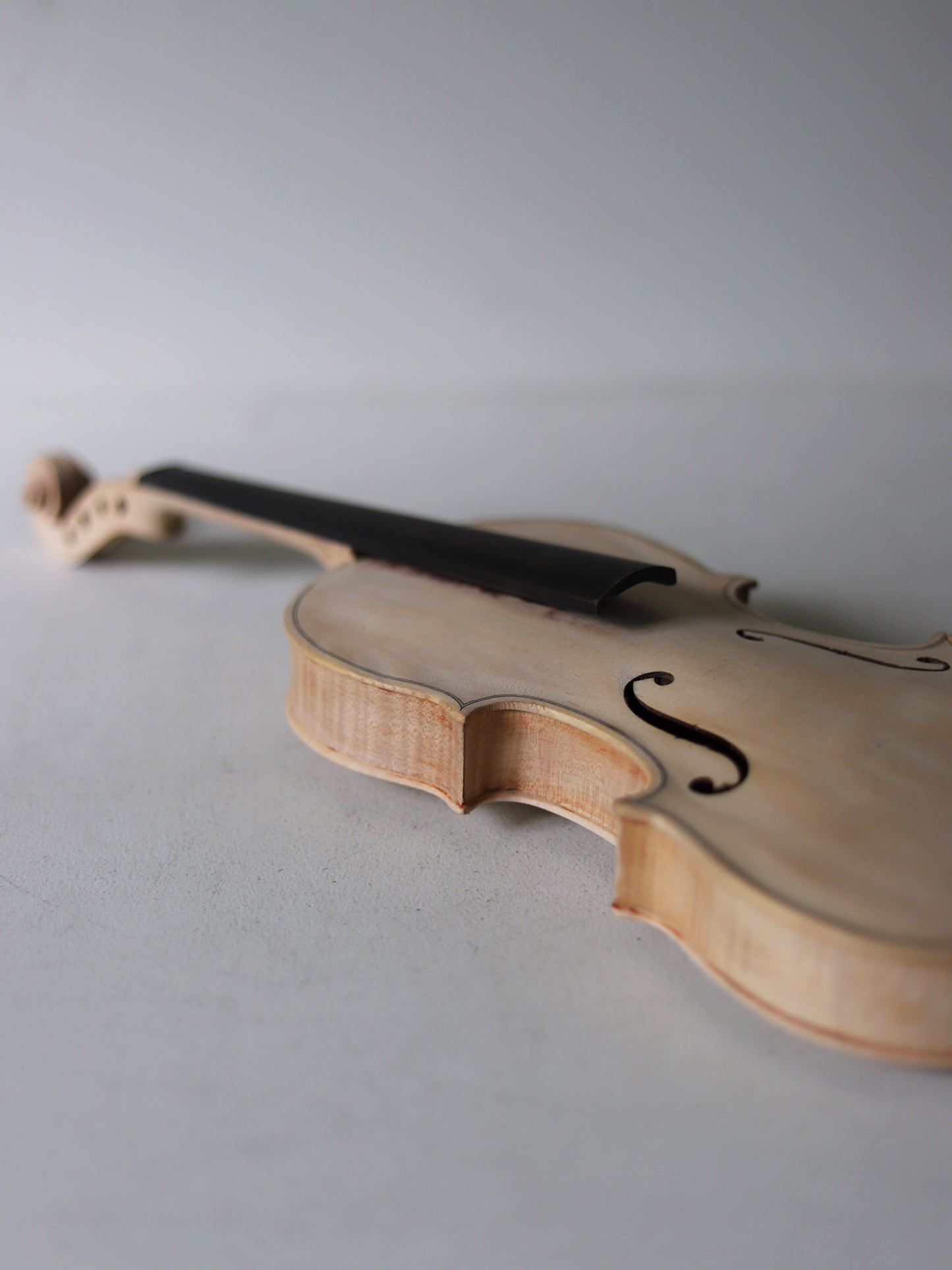 VIOLIN M